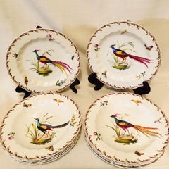 Set of 10 Spode Copeland Plates Each Painted with a Different Whimsical Bird