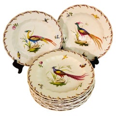 Antique Set of 10 Spode Copeland Plates Each Painted with a Different Whimsical Bird