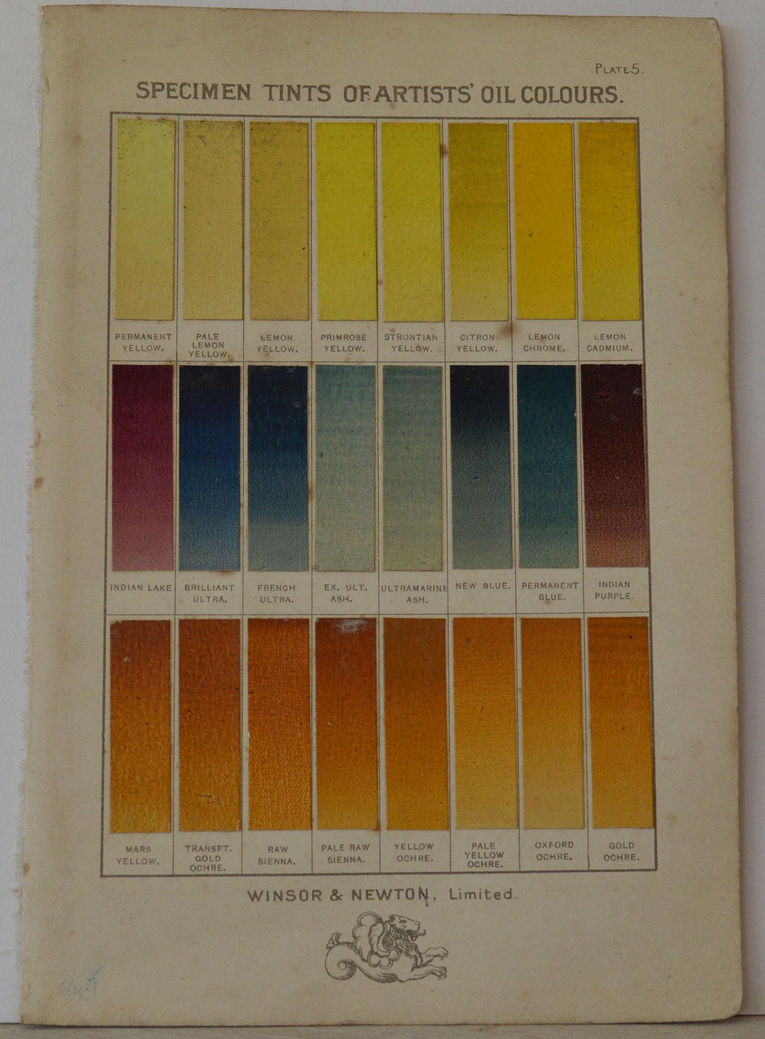 Set of 12 Vintage Artists Oil Color Charts, circa 1900 4