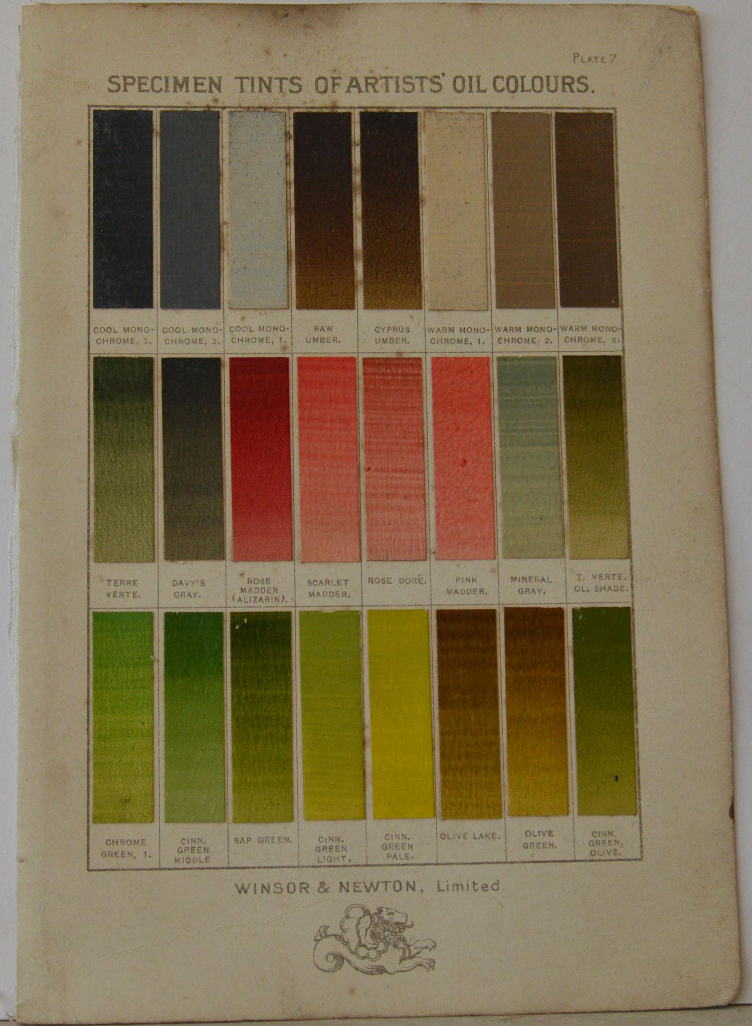 Set of 12 Vintage Artists Oil Color Charts, circa 1900 2