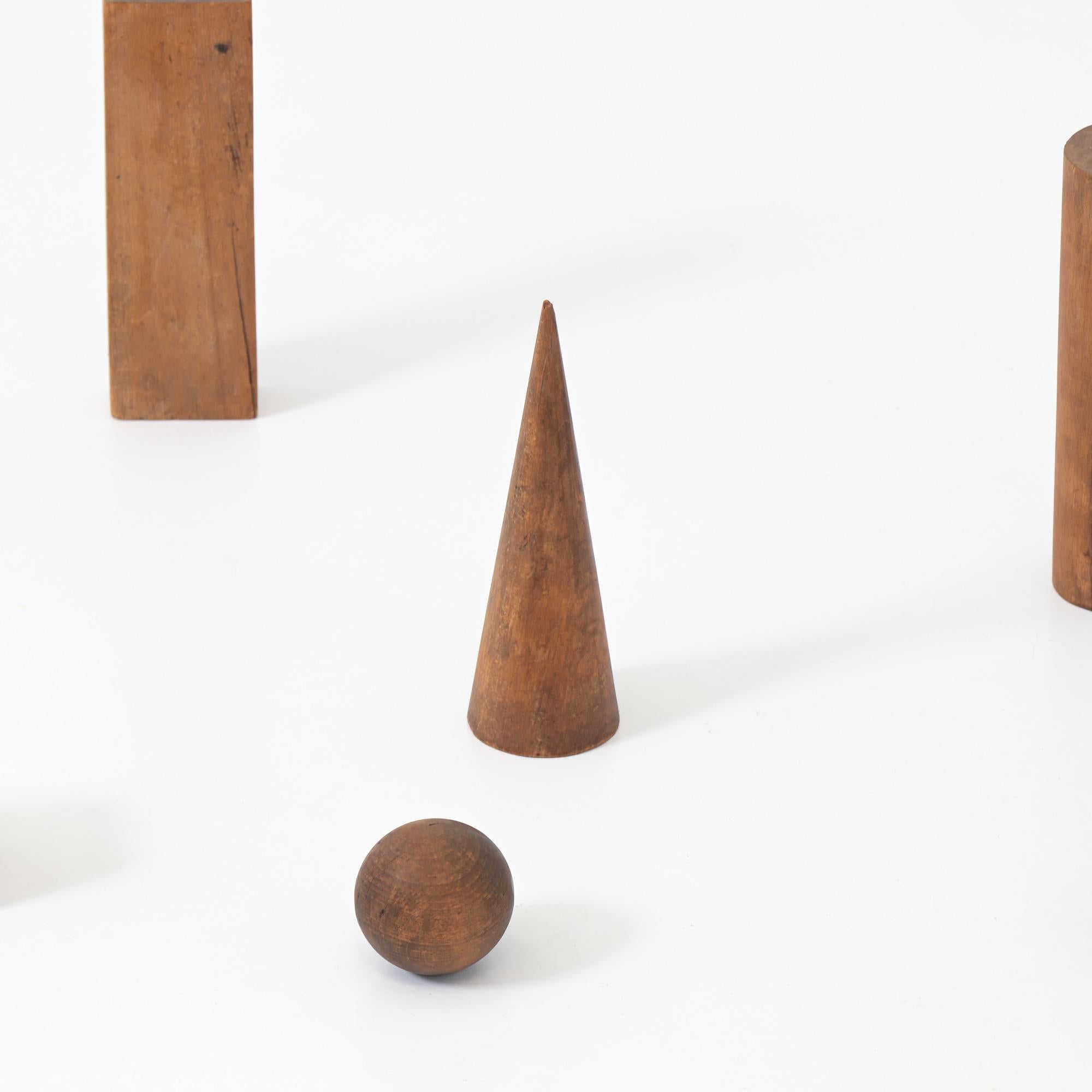 Metà XX secolo Set di 10 modelli geometrici in legno in vendita