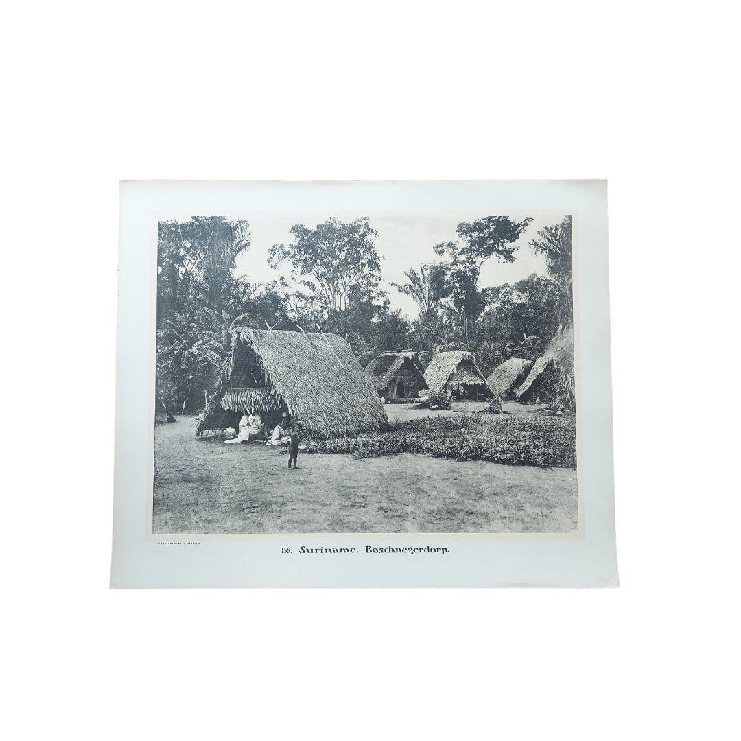 Set of 11 Large Photographic Plates of Suriname, Published Between 1910 and 1914 For Sale 6