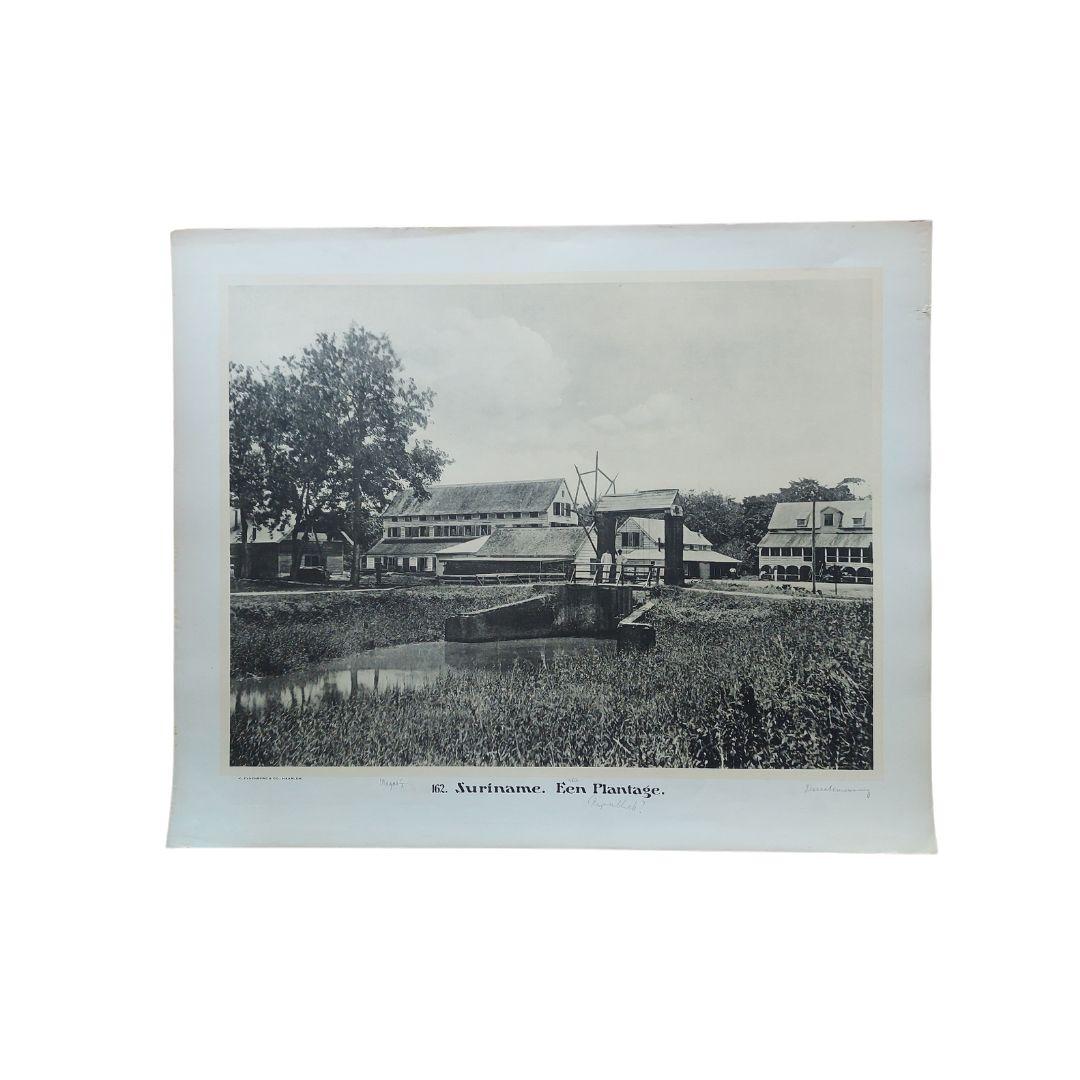Set of 11 Large Photographic Plates of Suriname, Published Between 1910 and 1914 For Sale 3