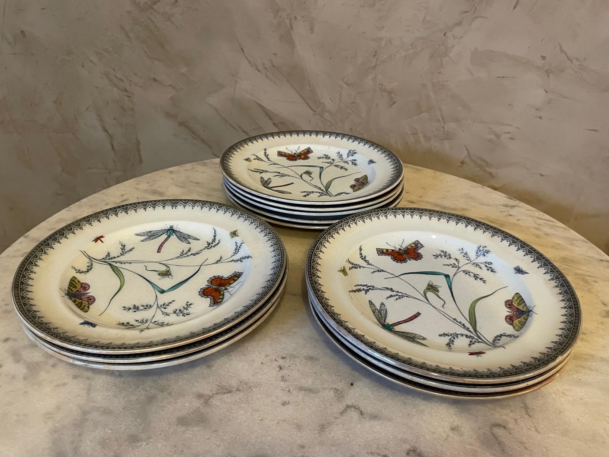 Very nice set of 11 English Porcelain desert plates made by Pinder Bourne and Co in the 1880s. Apollo Model. 
Butterfly, dragonfly and flowers decoration. Numbered and Stamped of the English manufacturer under each plates. 
Each plate is