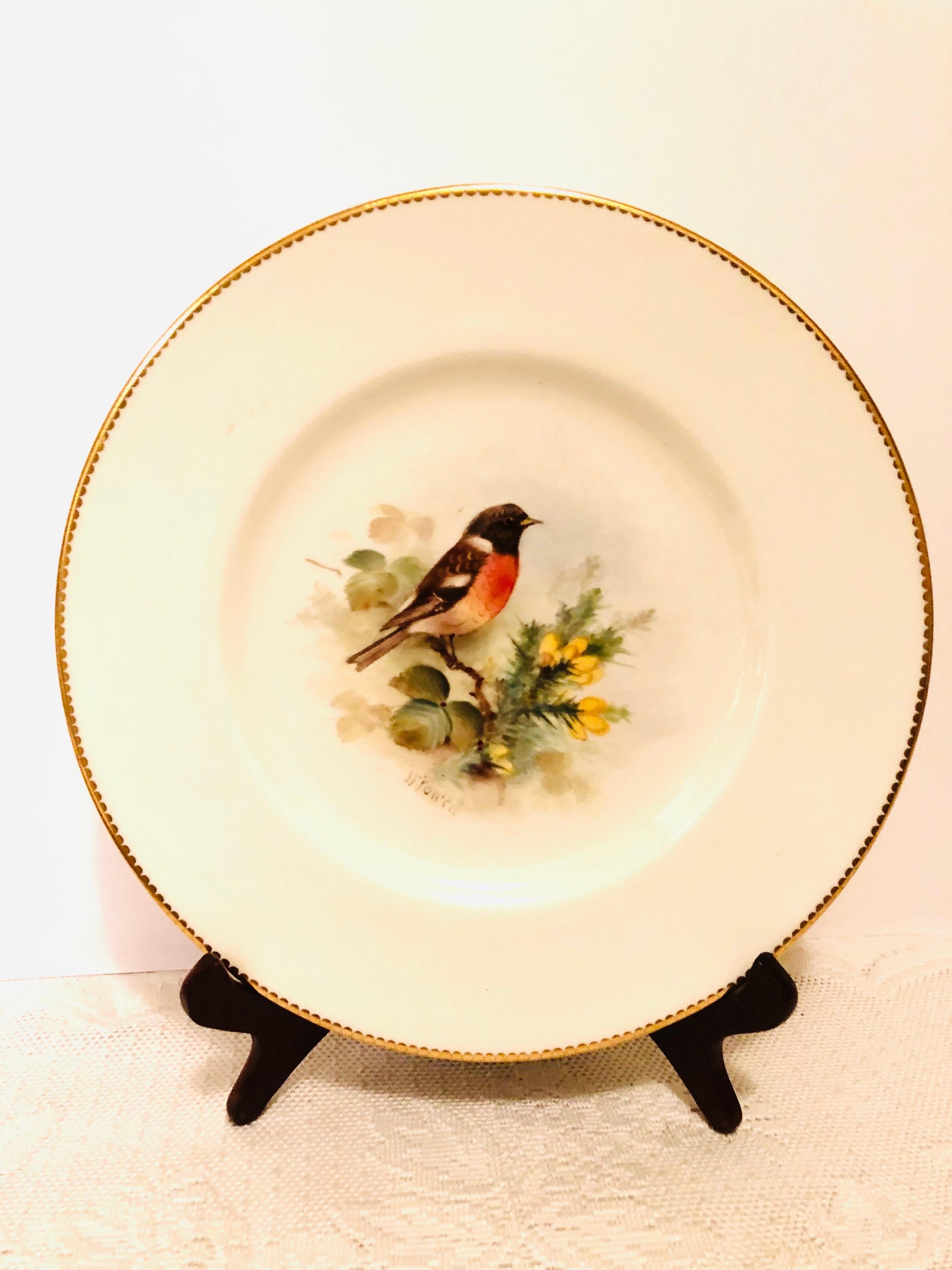 Set of 11 Royal Worcester Dinner Plates Each Painted with Different Birds 1