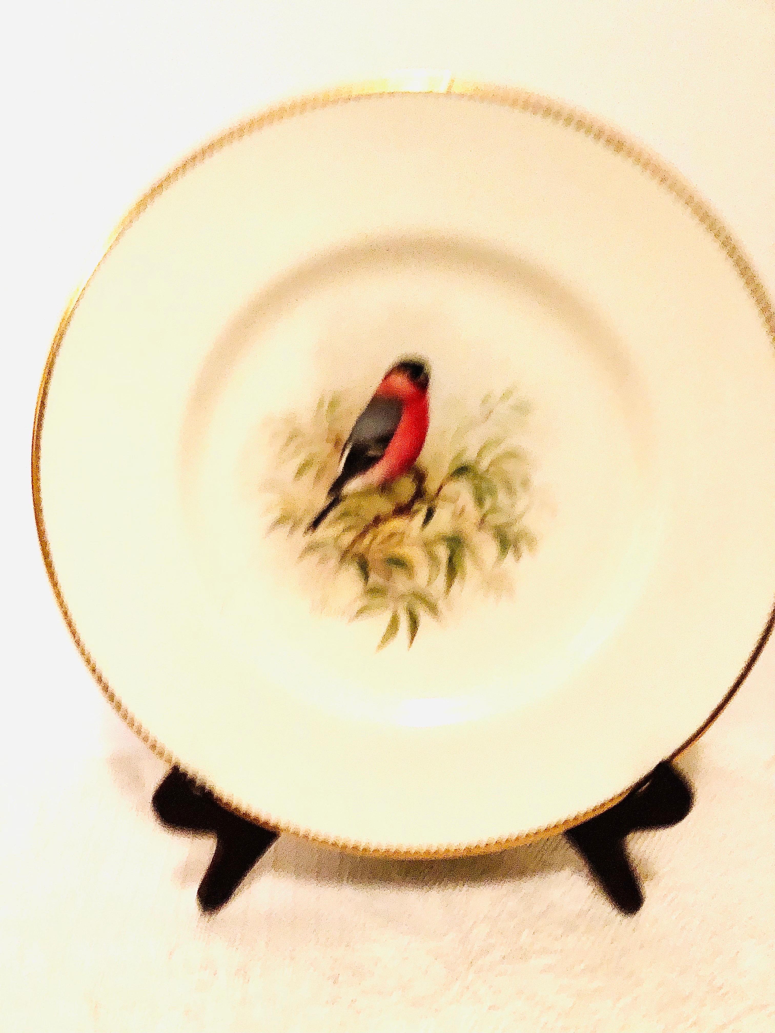 Lot de 11 assiettes plates Royal Worcester peintes avec différents oiseaux 4
