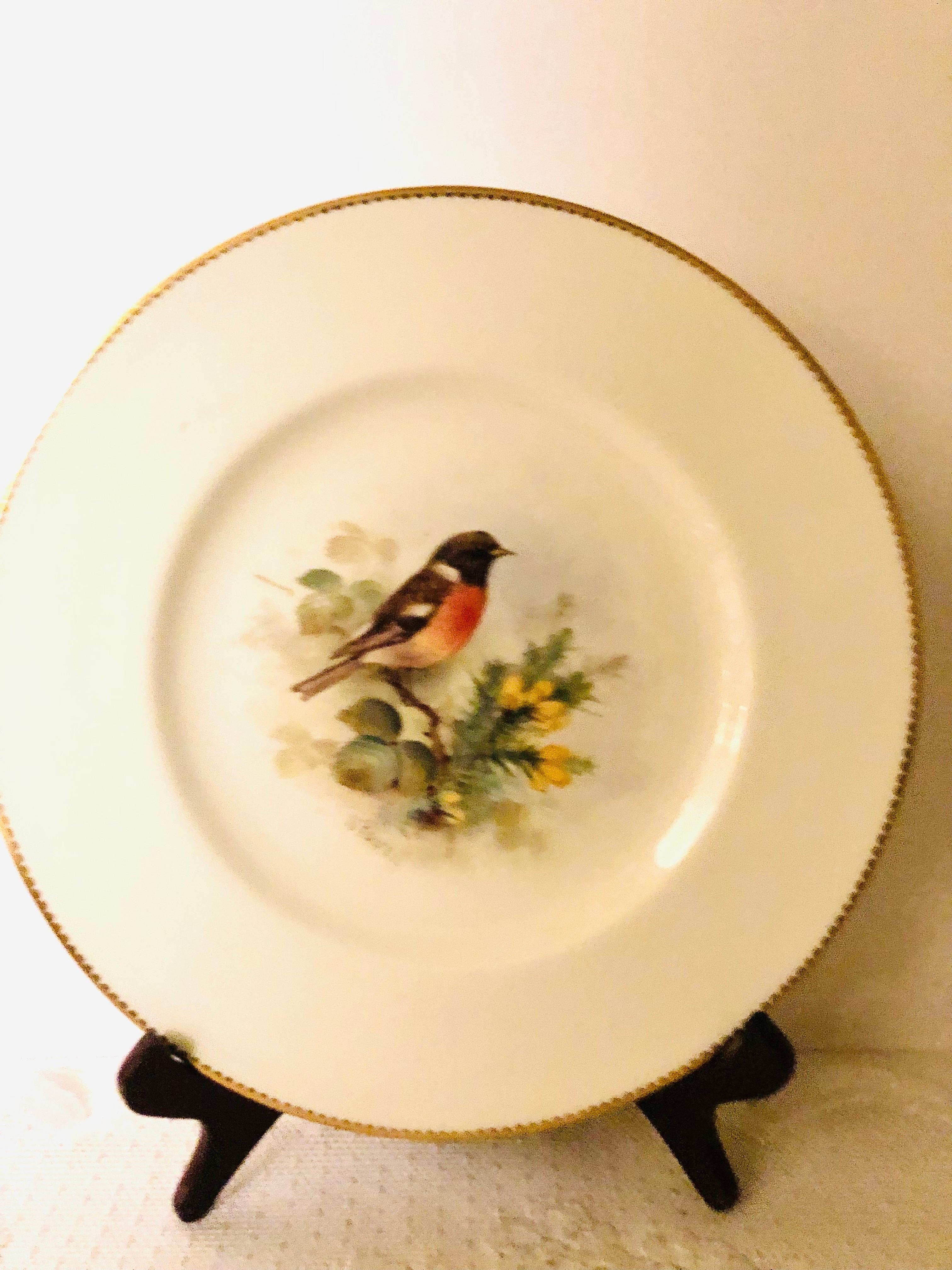 Romantique Lot de 11 assiettes plates Royal Worcester peintes avec différents oiseaux