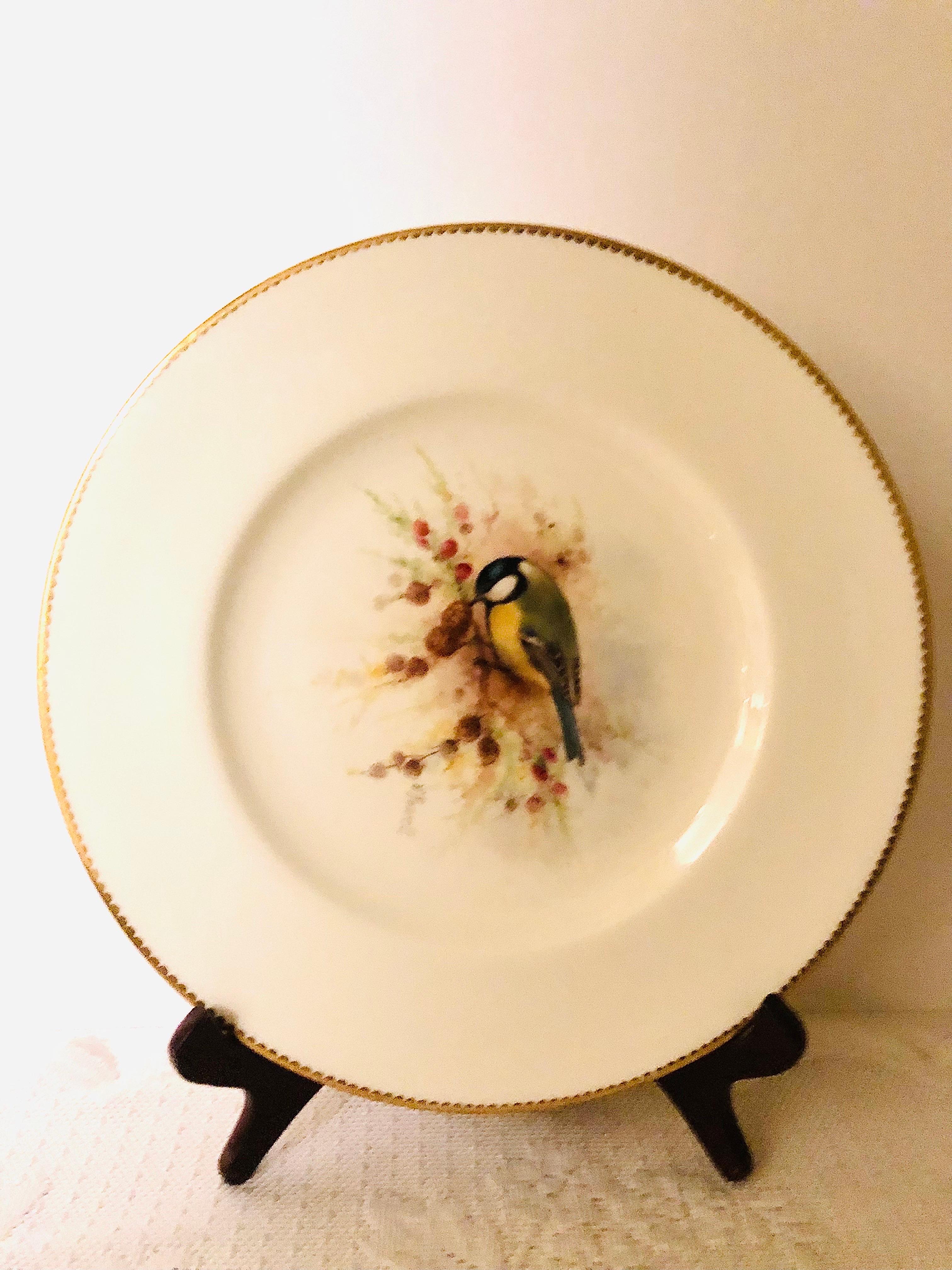 English Set of 11 Royal Worcester Dinner Plates Each Painted with Different Birds