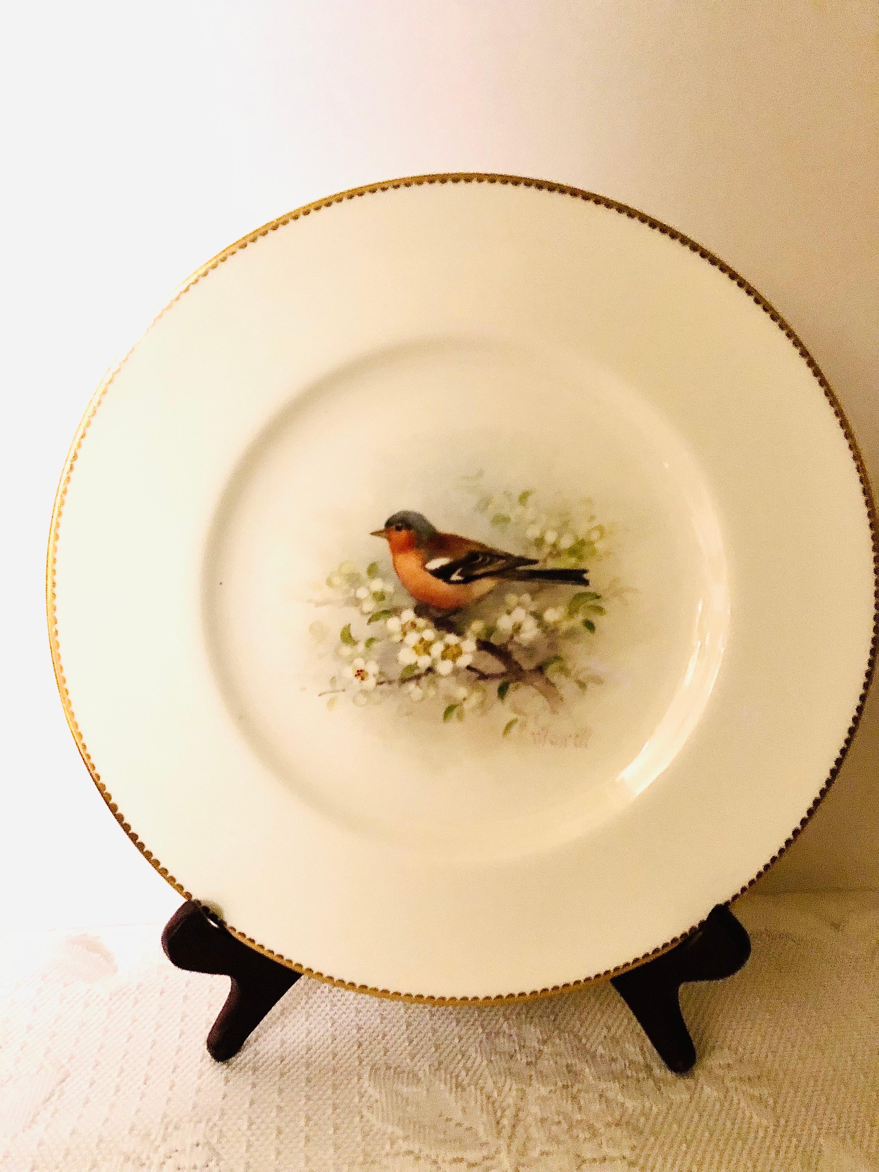 Hand-Painted Set of 11 Royal Worcester Dinner Plates Each Painted with Different Birds