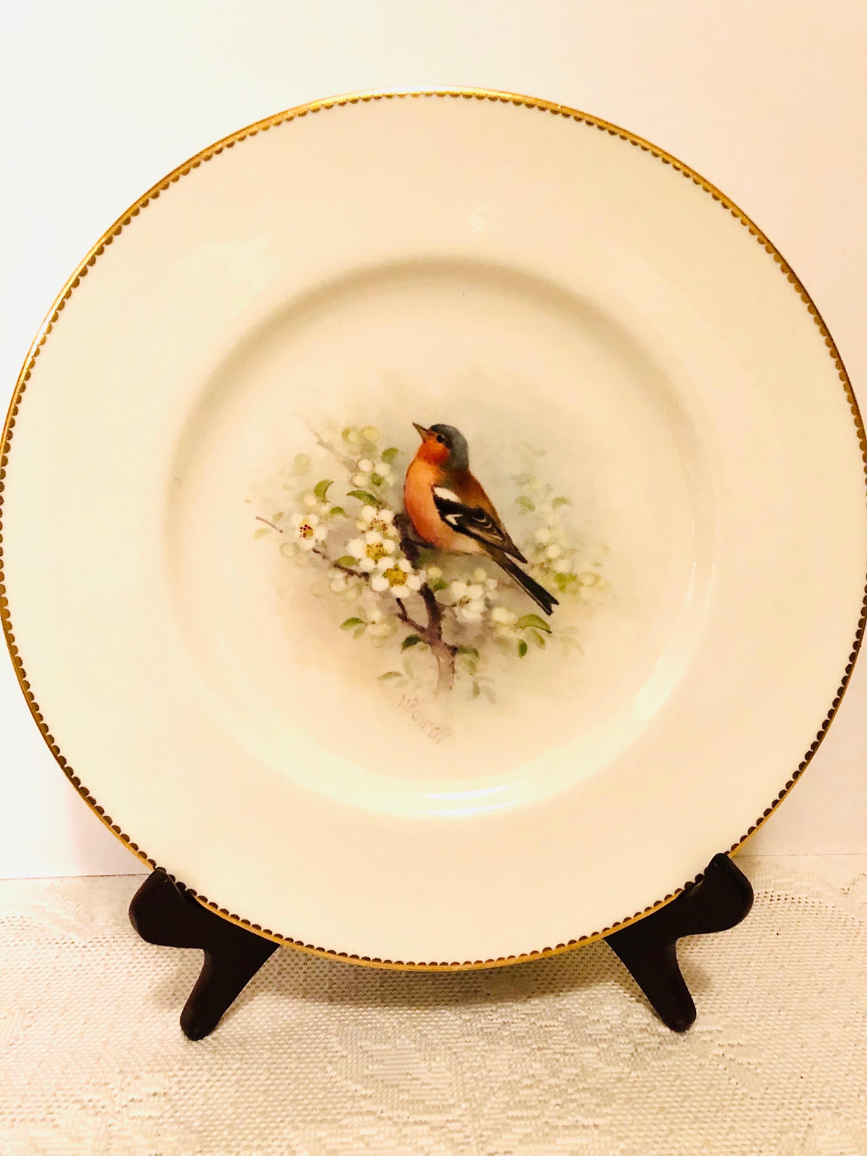 Milieu du XXe siècle Lot de 11 assiettes plates Royal Worcester peintes avec différents oiseaux