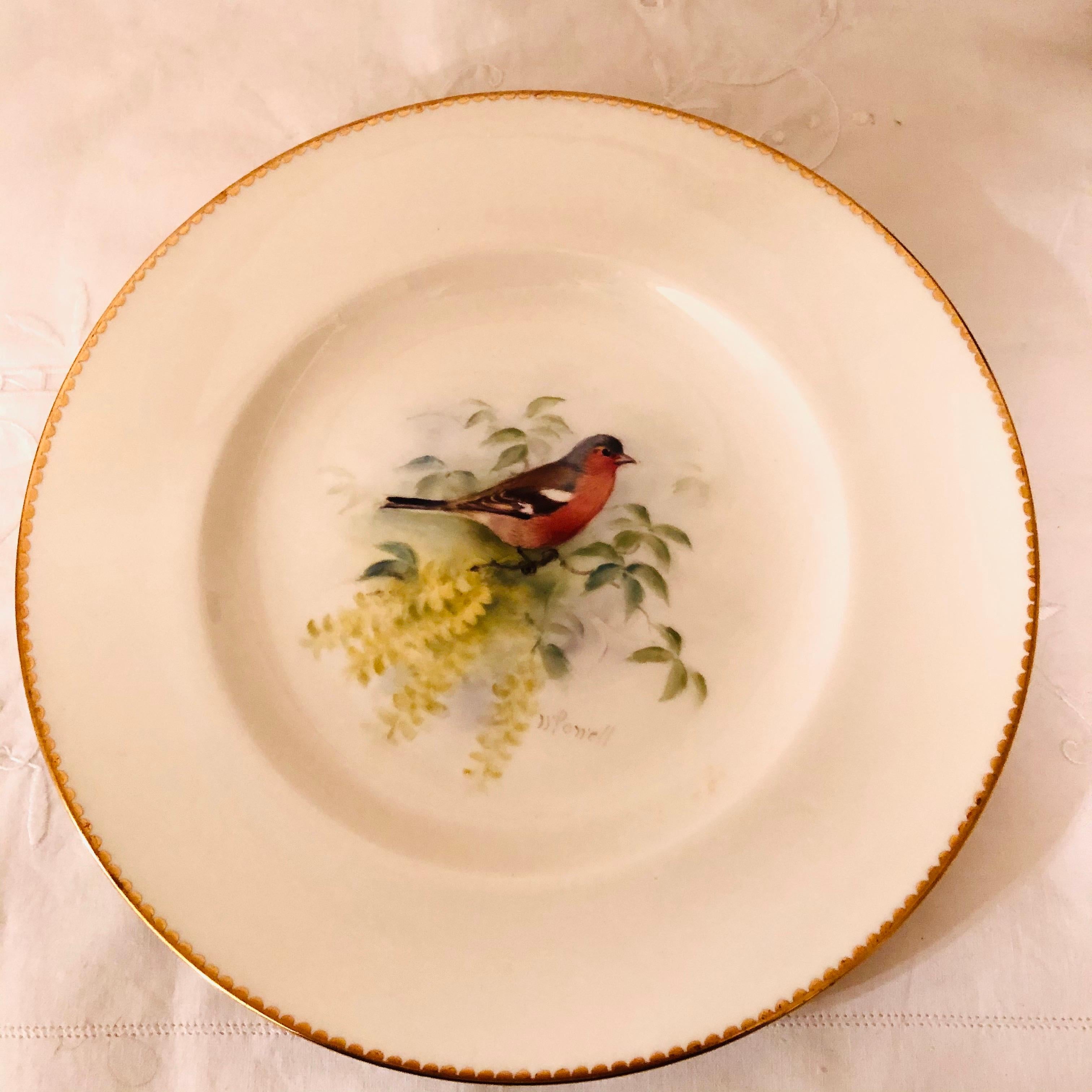 Porcelain Set of 11 Royal Worcester Plates Each Hand Painted with Different Bird Paintings