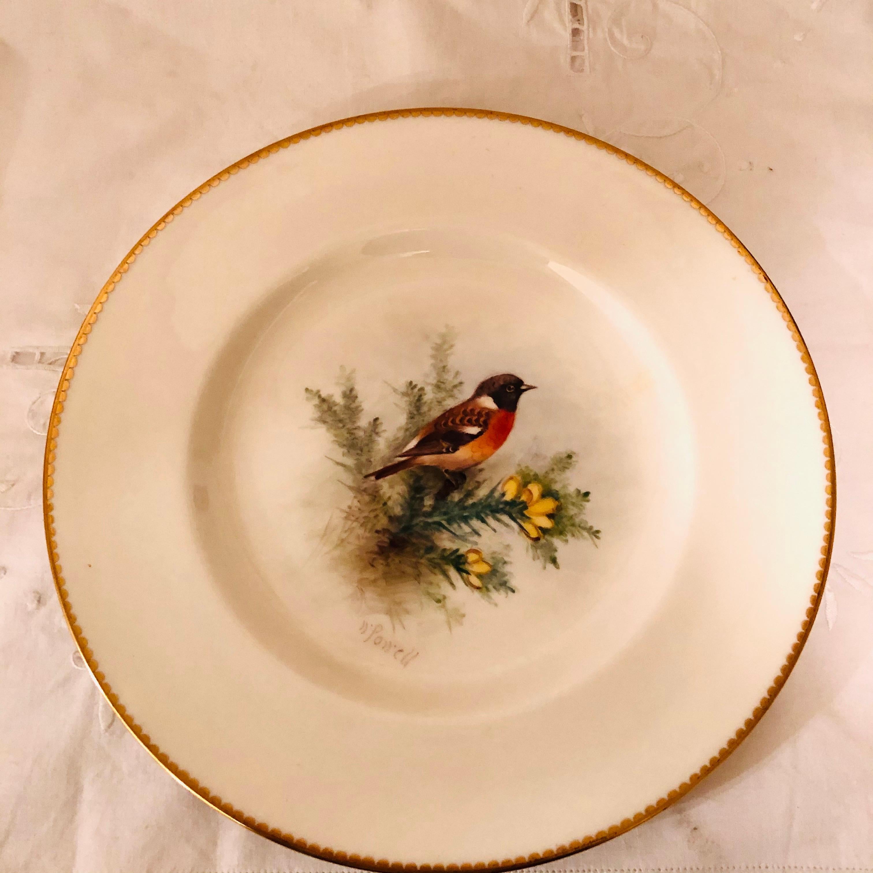 Set of 11 Royal Worcester Plates Each Hand Painted with Different Bird Paintings 1