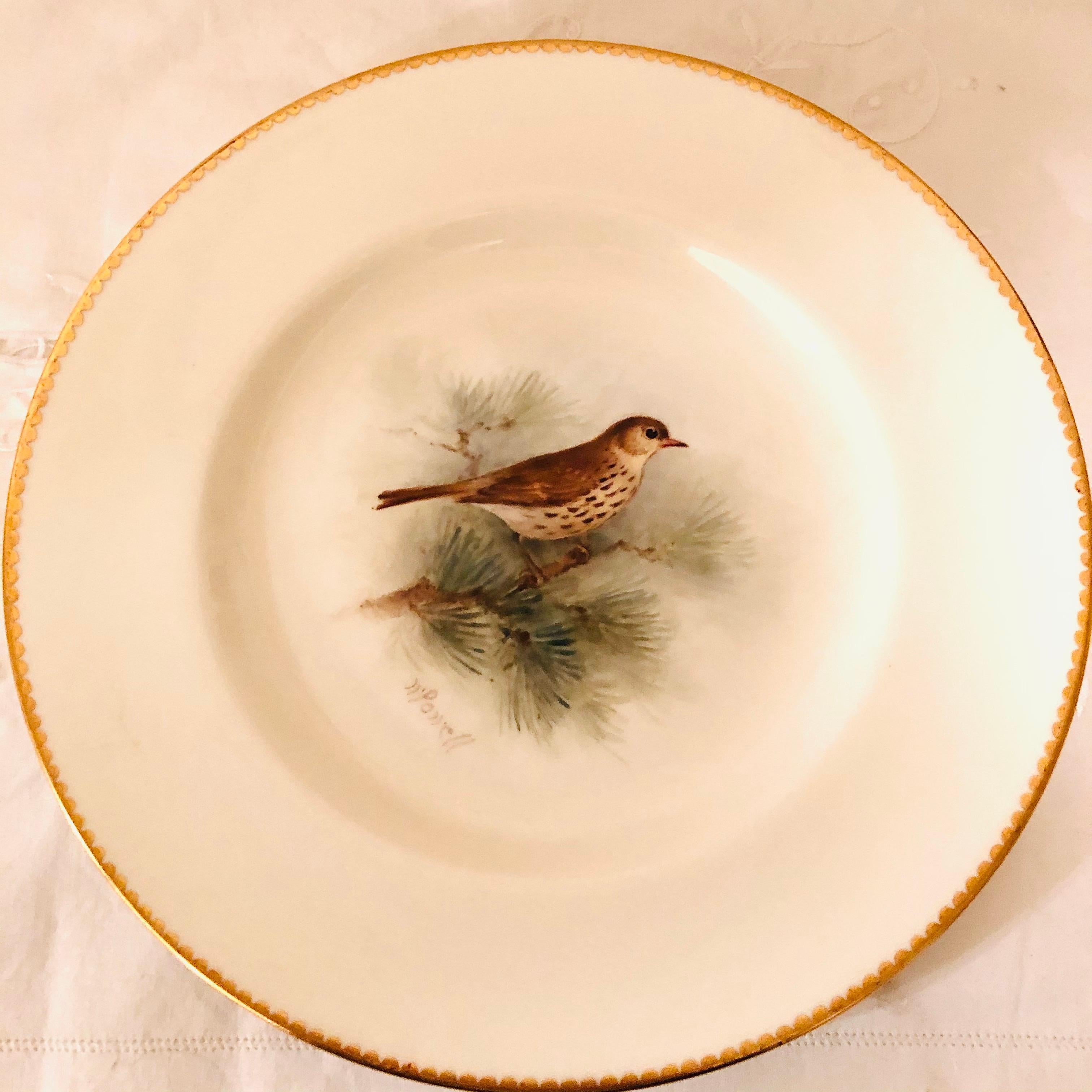 Set of 11 Royal Worcester Plates Each Hand Painted with Different Bird Paintings 2