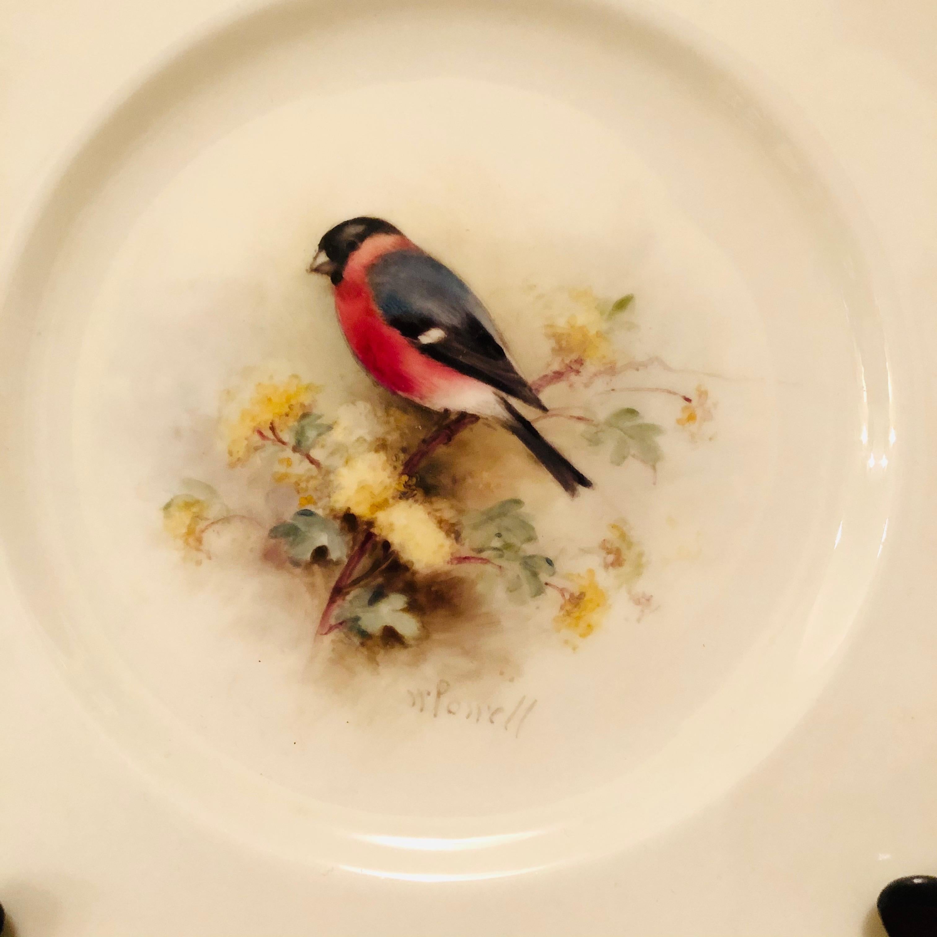 I want to present to you this fabulous set of Royal Worcester plates, each hand painted with different bird paintings with the name of the birds written on the back of the plates. If you look through the pictures, you will see all the different