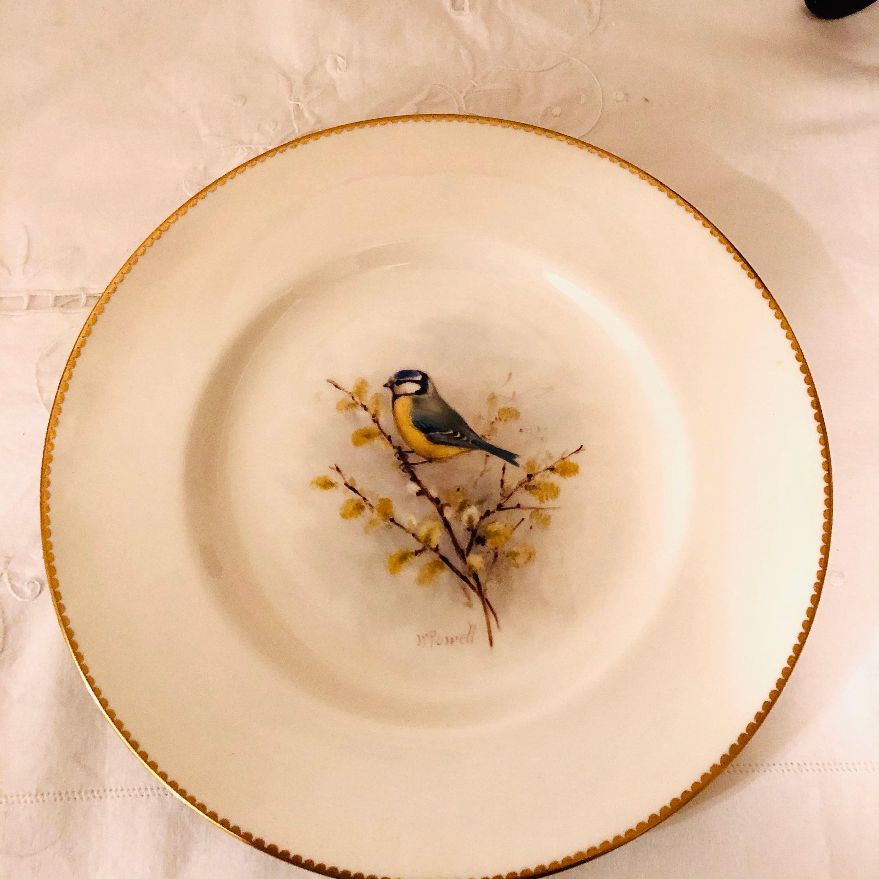 English Set of 11 Royal Worcester Plates Each Hand Painted with Different Bird Paintings