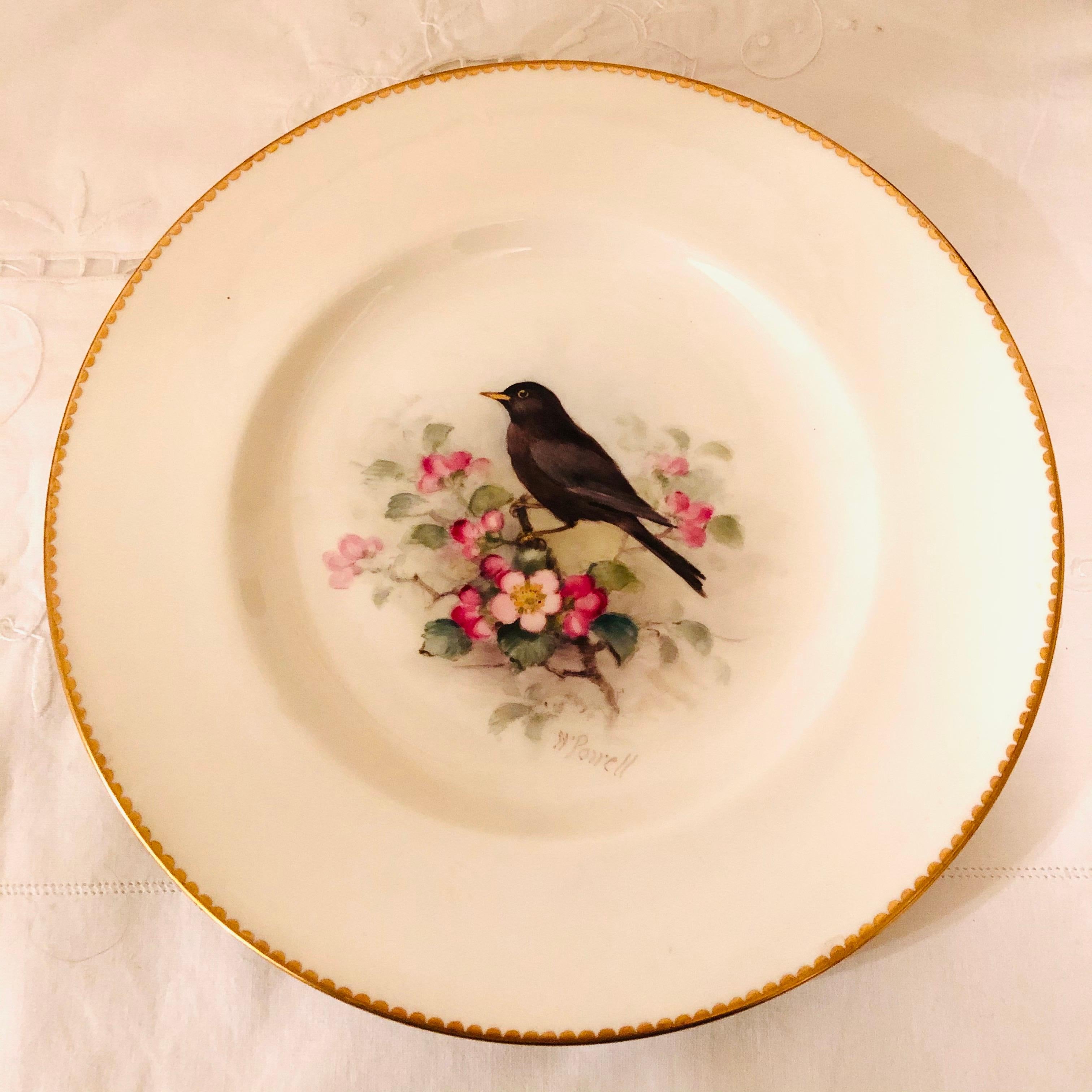 Set of 11 Royal Worcester Plates Each Hand Painted with Different Bird Paintings In Good Condition In Boston, MA