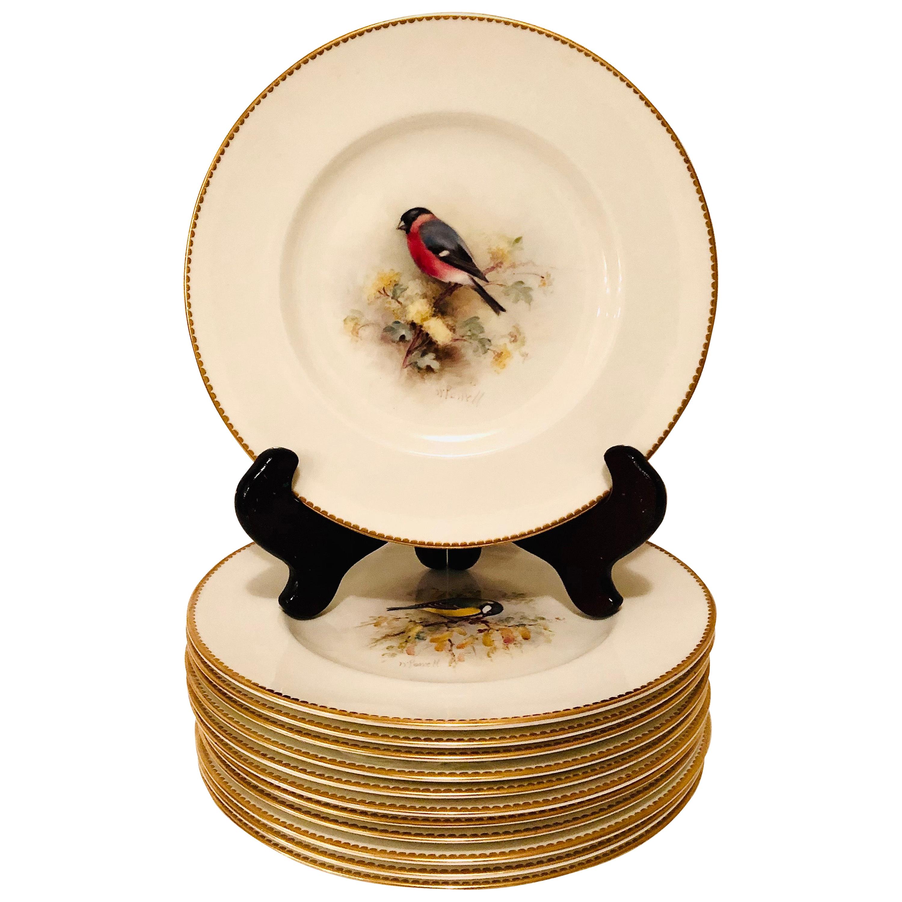 Set of 11 Royal Worcester Plates Each Hand Painted with Different Bird Paintings