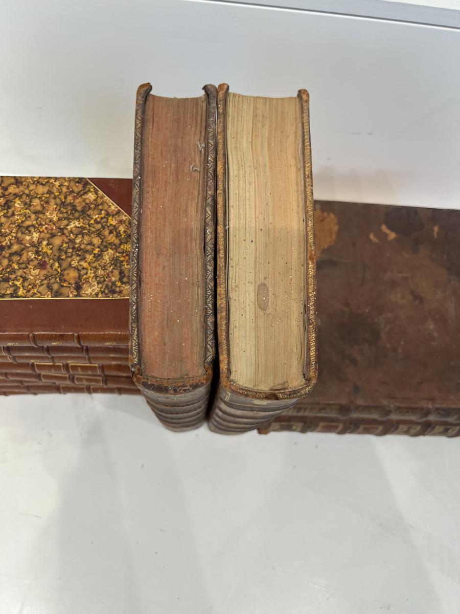 XIXe siècle Ensemble de 13 livres reliés en cuir français du 18e/19e siècle en vente
