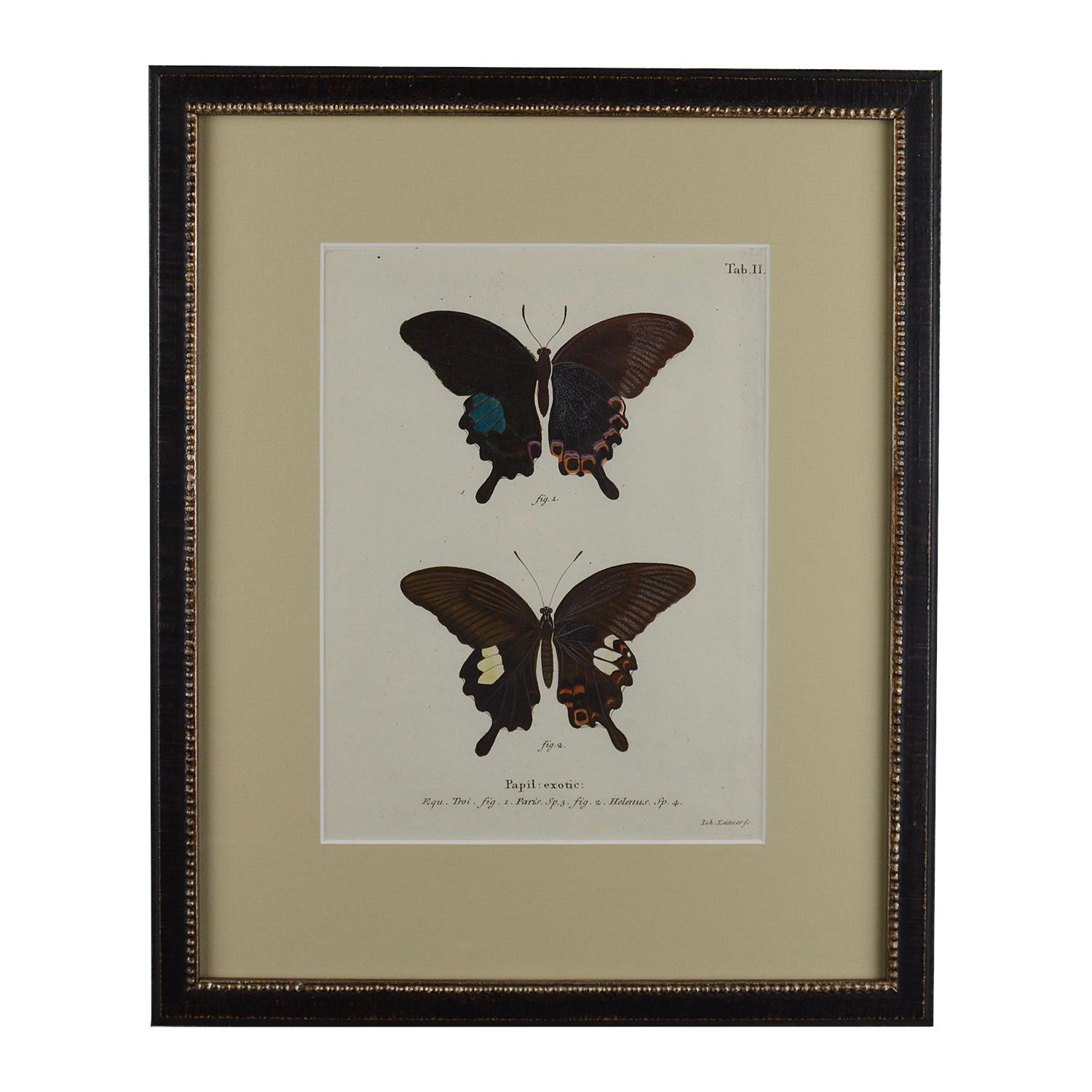 Set of 12 18th Century Engravings of Butterflies 5