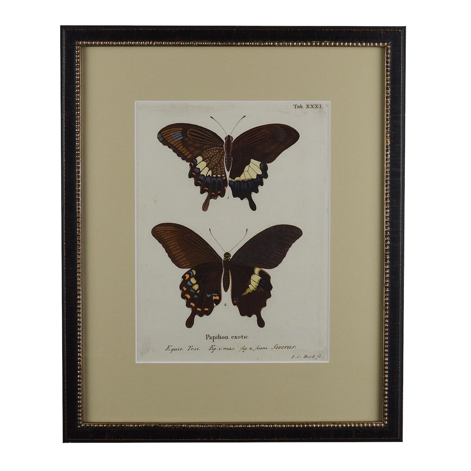 Set of 12 18th Century Engravings of Butterflies 7