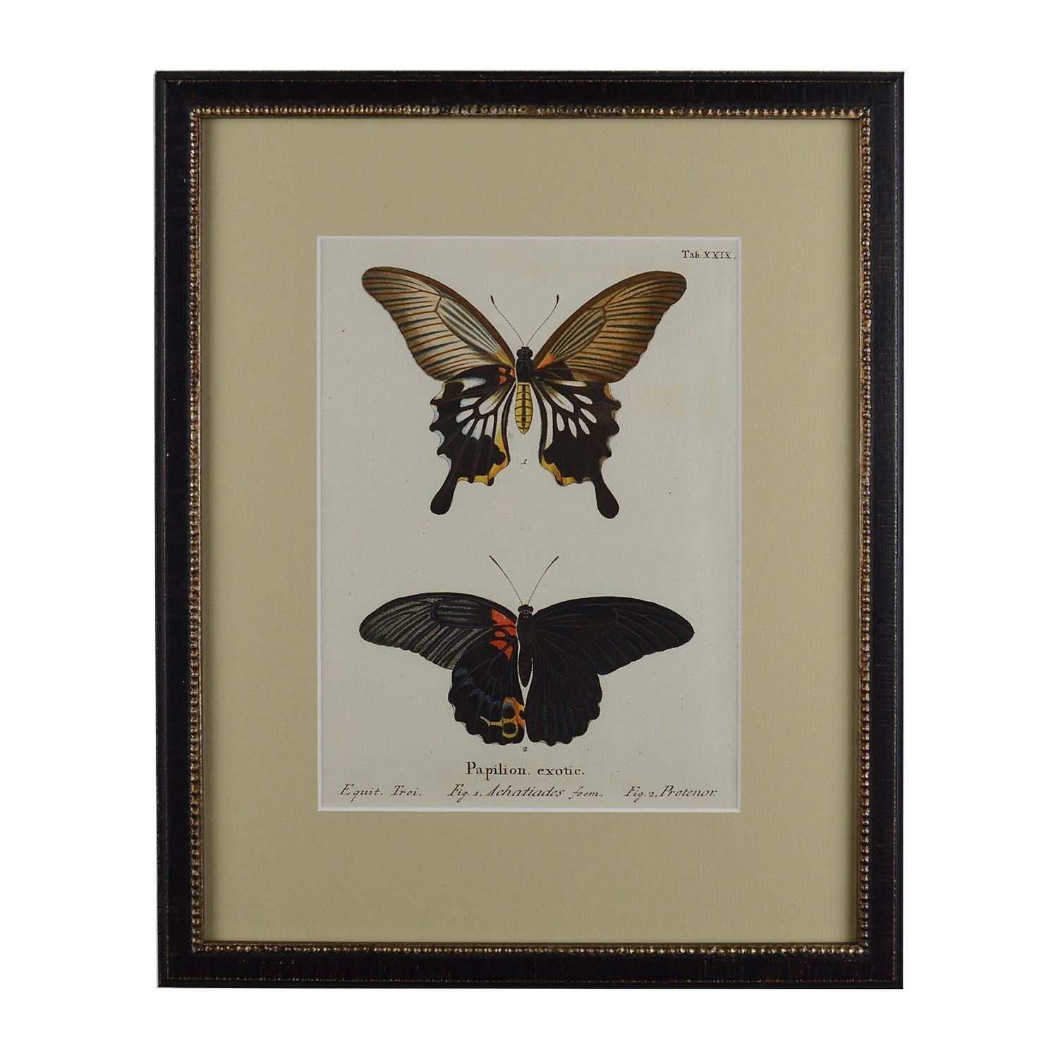 Set of 12 18th Century Engravings of Butterflies 8