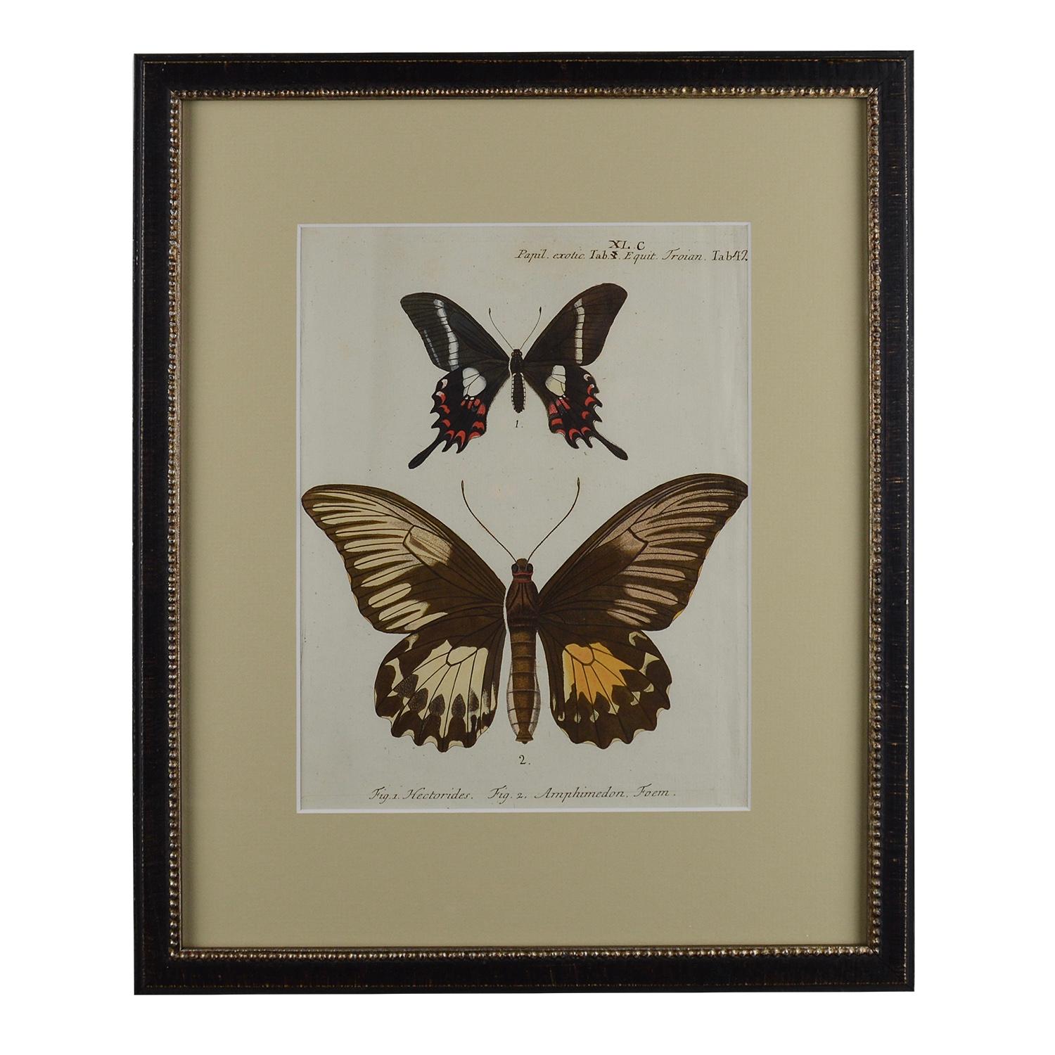 18th Century and Earlier Set of 12 18th Century Engravings of Butterflies