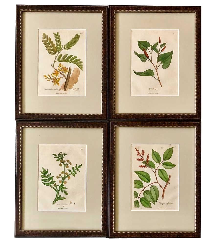 vintage botanical prints framed uk