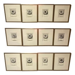Set of 12, 18th Century Italian Roman Architectural Rosettes By Carlo Antonini