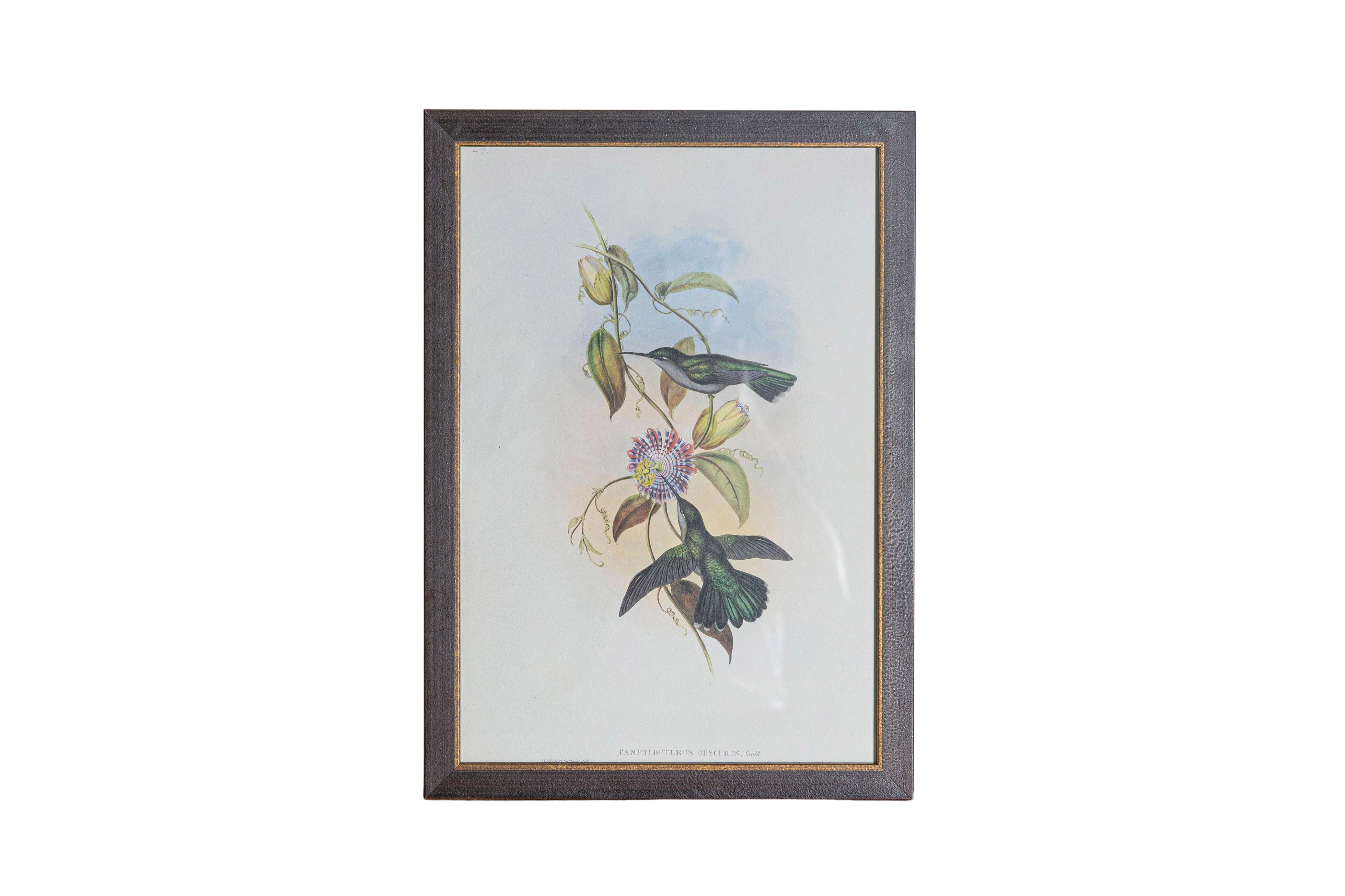 Ensemble de 12 gravures d'oiseaux du 19e siècle en vente 2