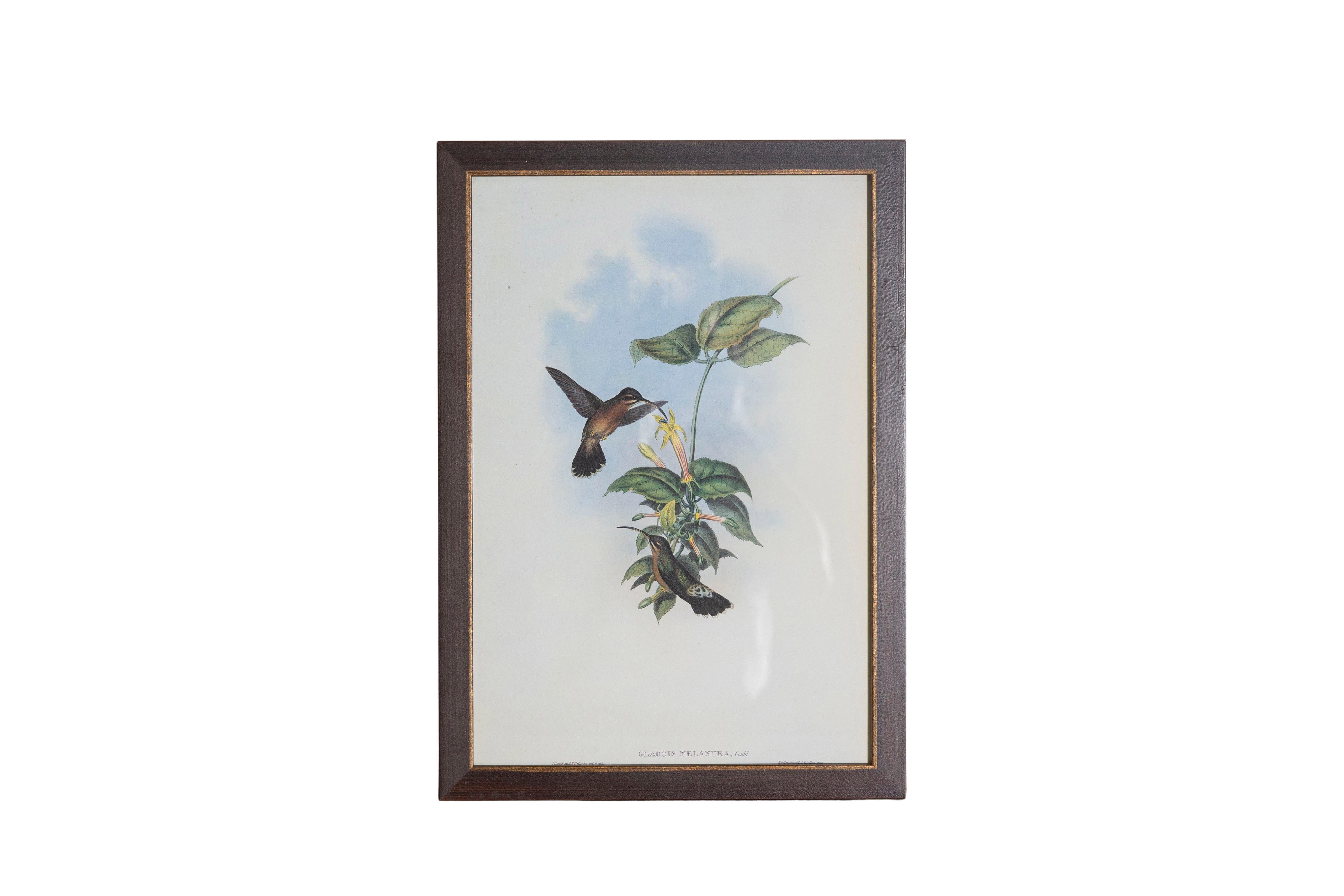 Ensemble de 12 gravures d'oiseaux du 19e siècle en vente 2