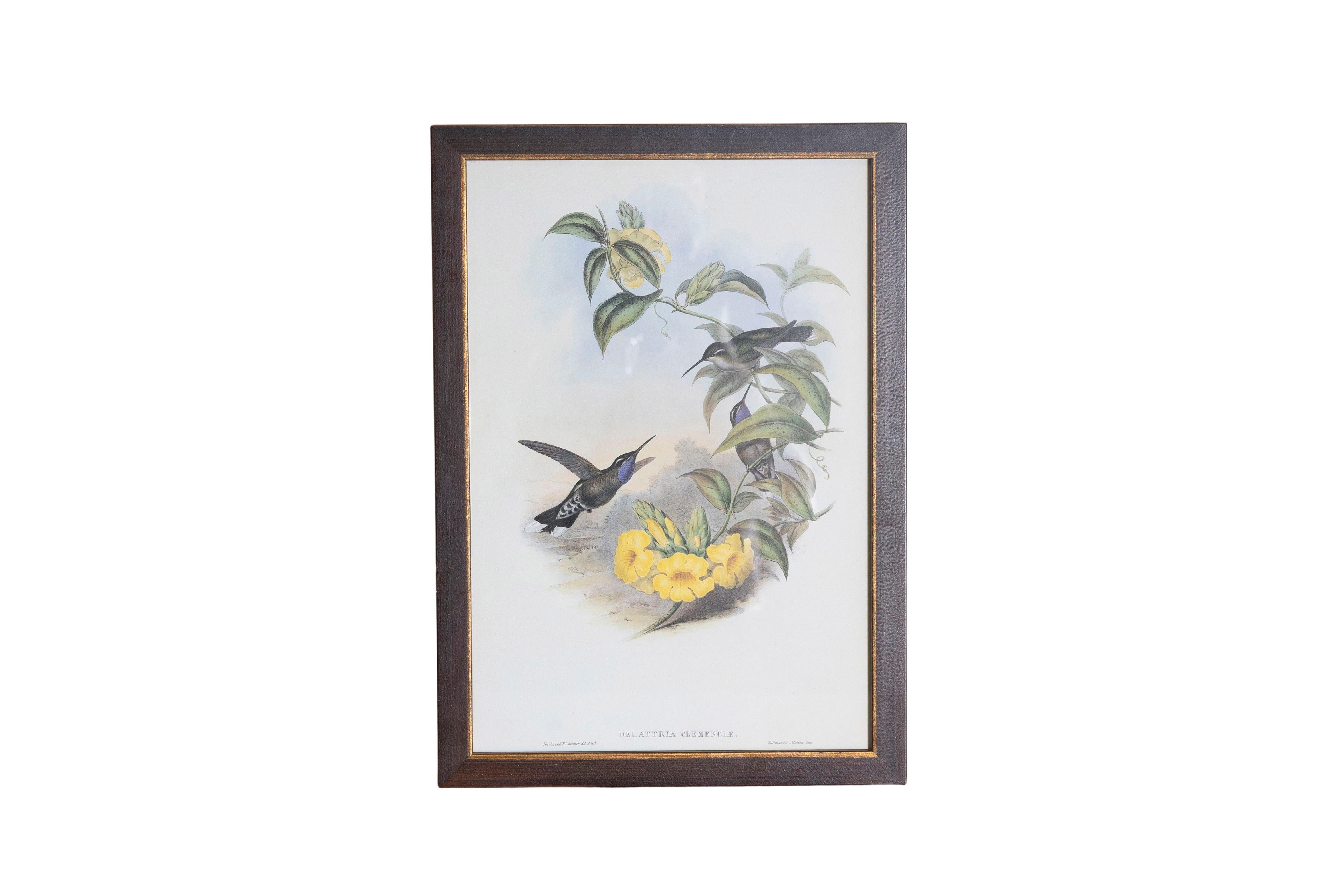 Ensemble de 12 gravures d'oiseaux du 19e siècle en vente 3
