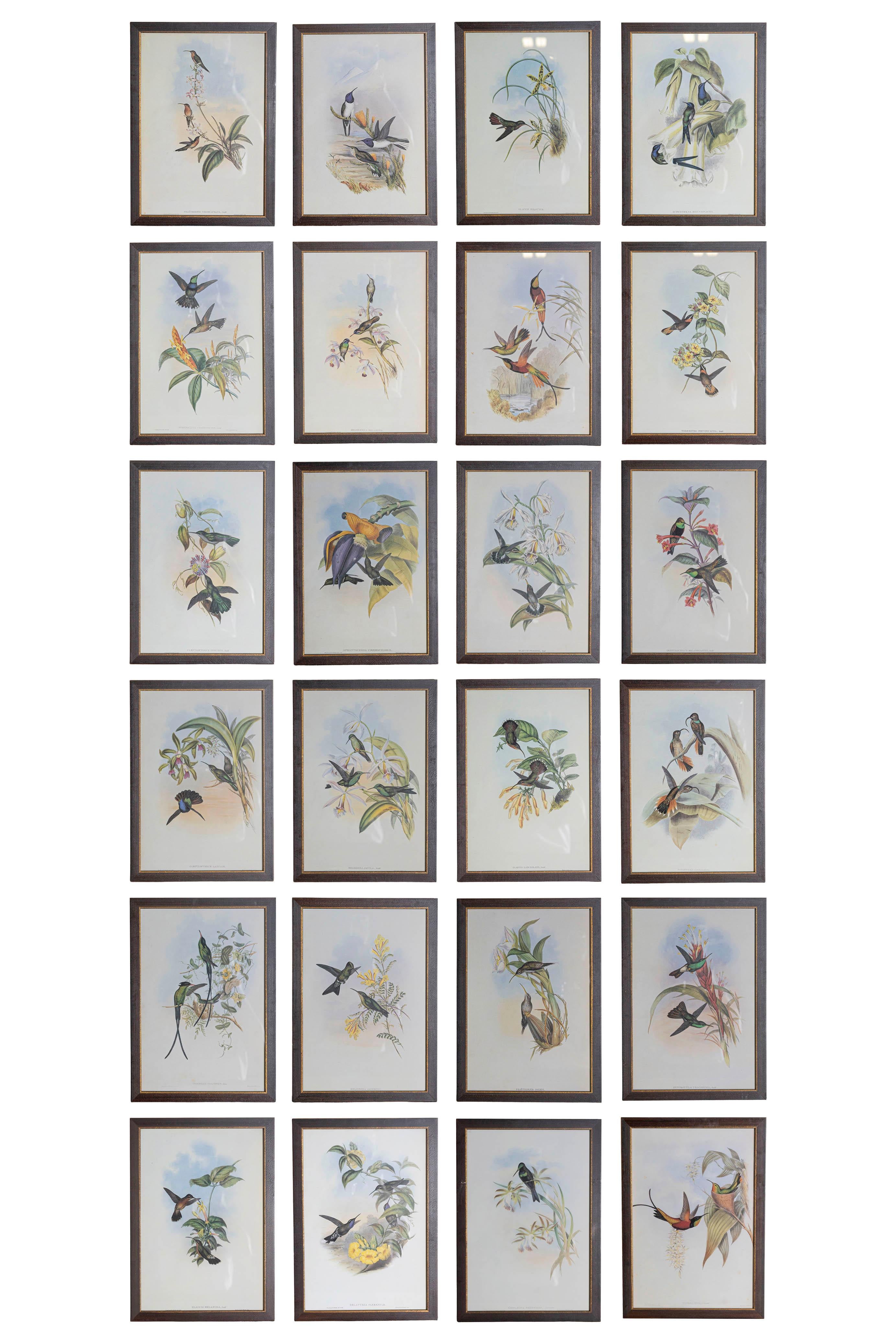 Ensemble de 12 gravures d'oiseaux du 19e siècle en vente 6