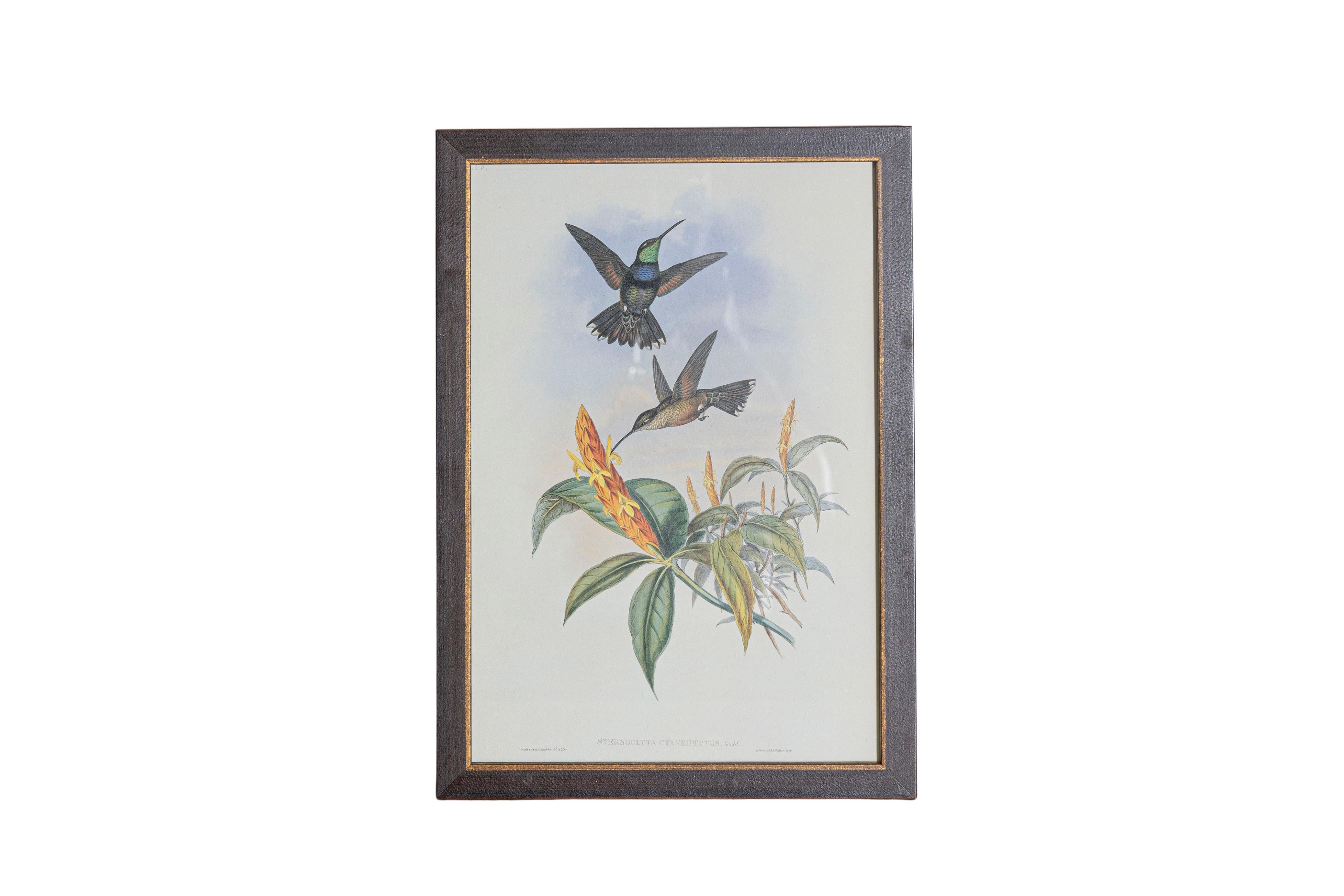 Ensemble de 12 gravures d'oiseaux du 19e siècle Bon état - En vente à Atlanta, GA