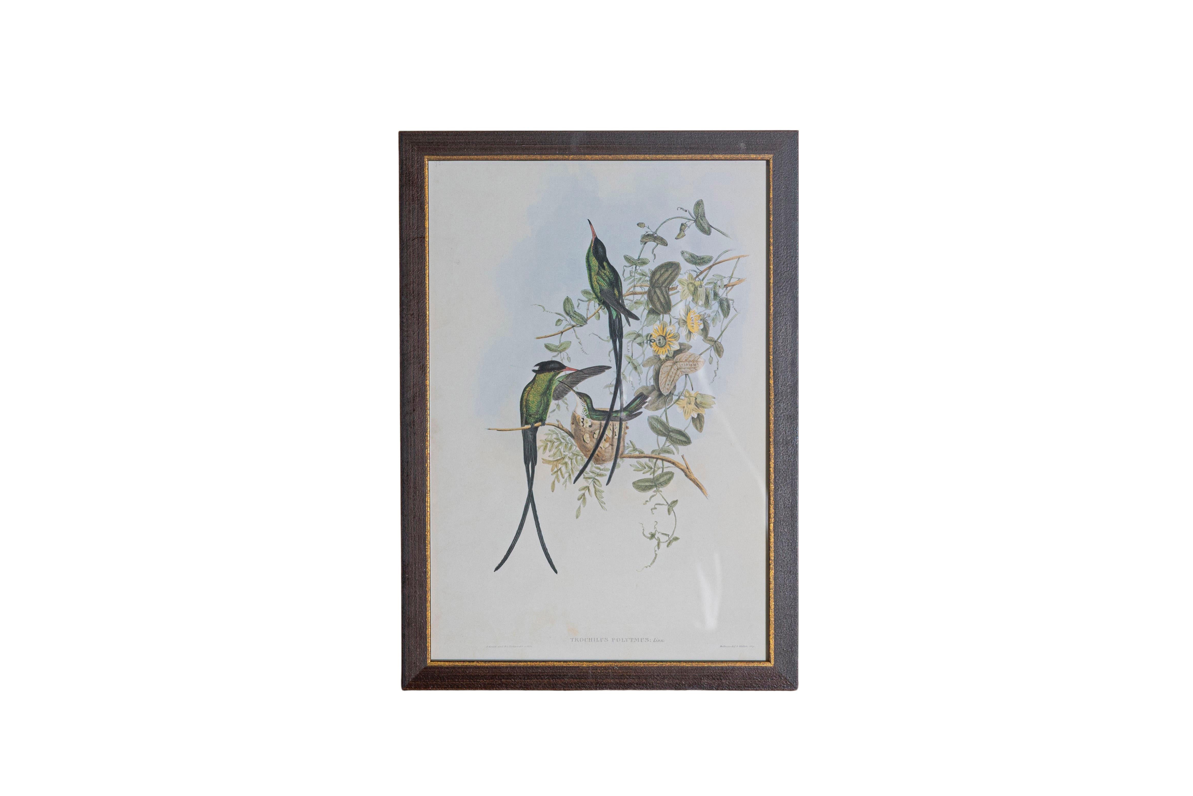 Ensemble de 12 gravures d'oiseaux du 19e siècle Bon état - En vente à Atlanta, GA