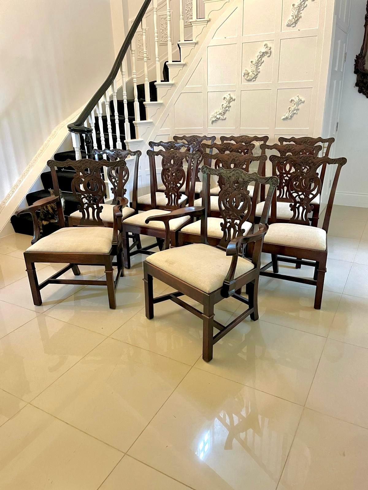 Satz von 12 antiken, geschnitzten Chippendale-Stühlen aus Mahagoni des 18. Jahrhunderts, bestehend aus 2 Ellbogenstühlen mit geformten, offenen Armlehnen und 10 Einzelstühlen mit einer geschnitzten Mahagoni-Deckelschiene und einem Mittelstück, die