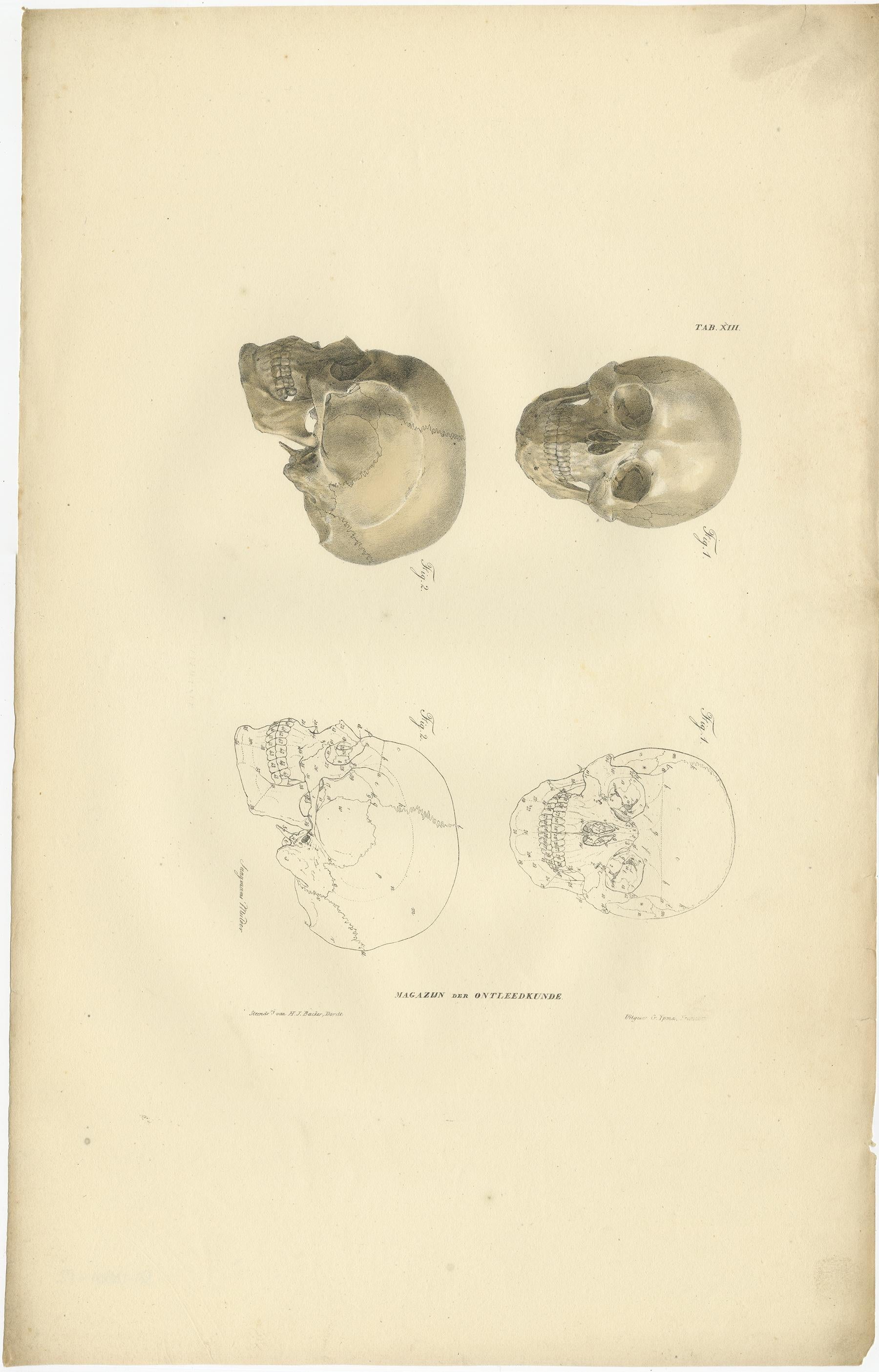 Set of 12 Antique Anatomy Prints of Osteology, '1839' For Sale 2