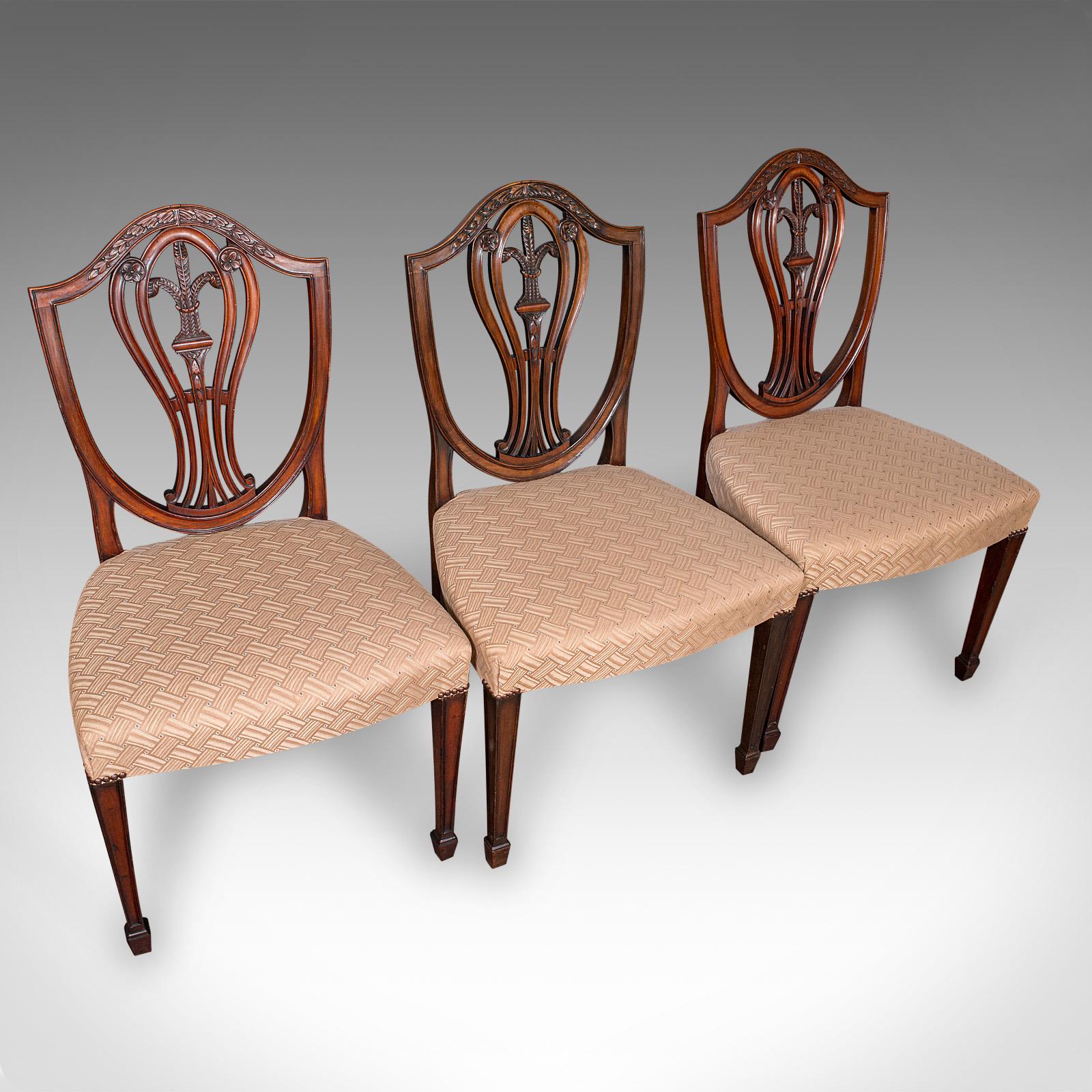 British Set of 12 Antique Dining Chairs, English, Carver, Seat, Hepplewhite, Edwardian For Sale
