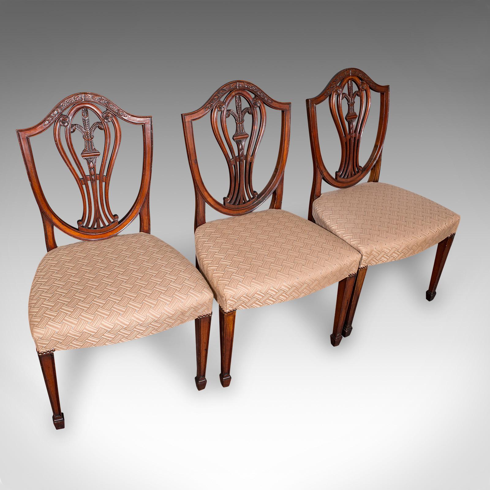 Set of 12 Antique Dining Chairs, English, Carver, Seat, Hepplewhite, Edwardian In Good Condition For Sale In Hele, Devon, GB