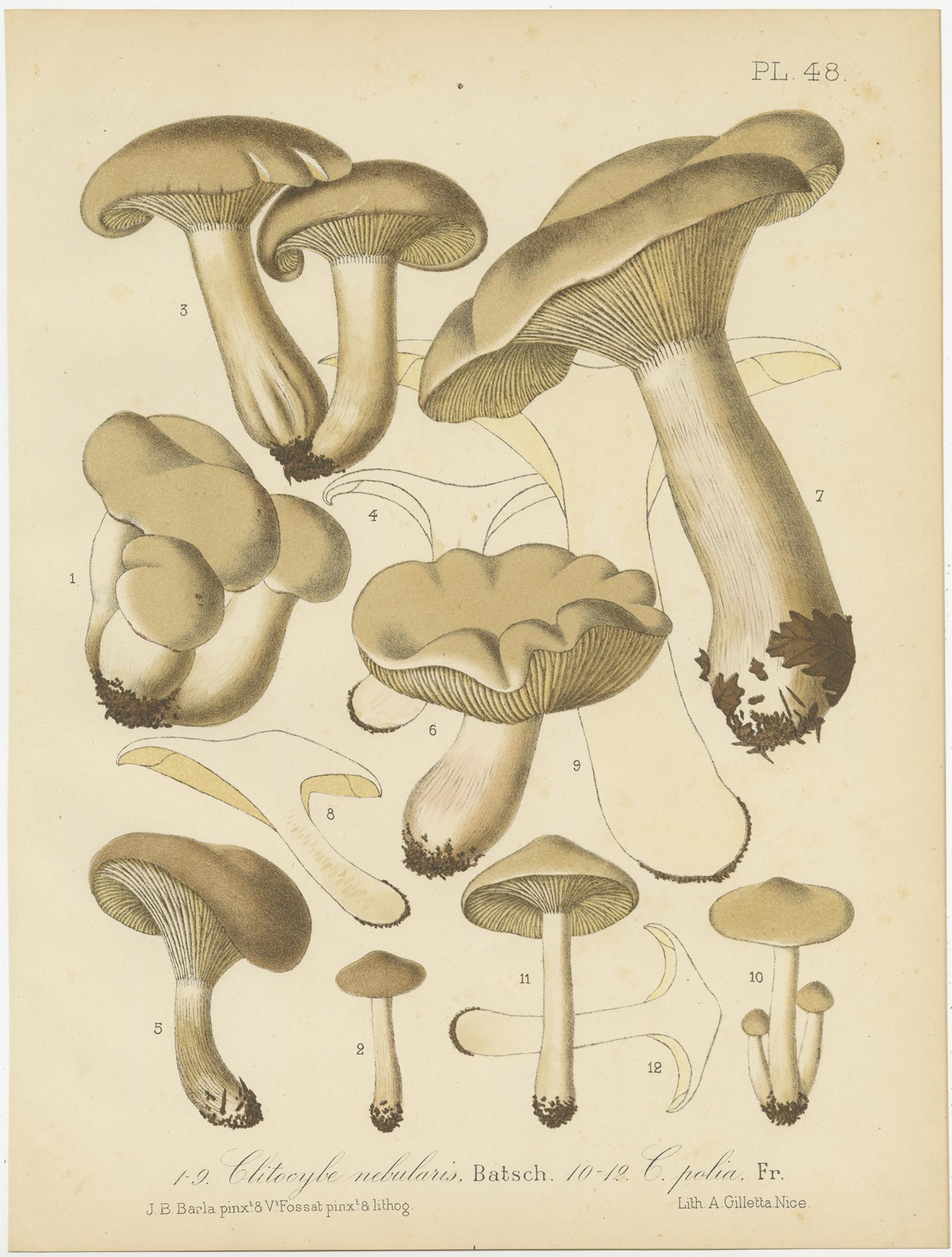 Ensemble de 12 estampes anciennes de mycologie de divers Fungi par Barla, vers 1890 en vente 6