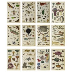 Folk Art Decorative Art
