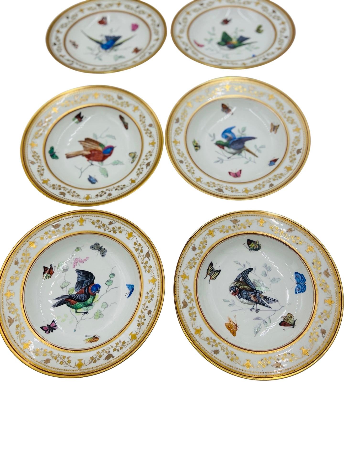 Set of 12, Antique Royal Vienna Neoclassical Ornithological Porcelain Plates   In Good Condition For Sale In Atlanta, GA