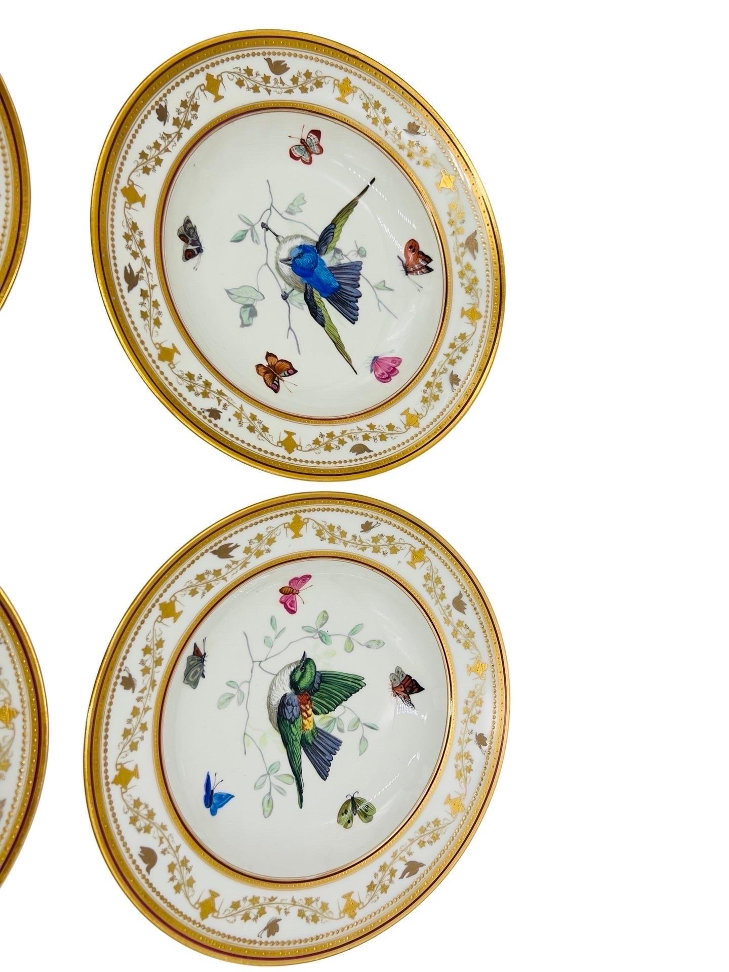 19th Century Set of 12, Antique Royal Vienna Neoclassical Ornithological Porcelain Plates   For Sale