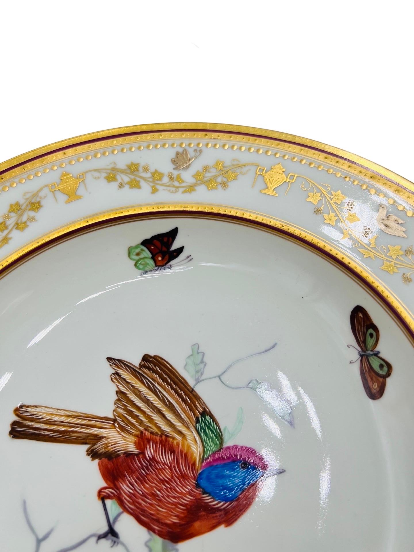 Enamel Set of 12, Antique Royal Vienna Neoclassical Ornithological Porcelain Plates   For Sale
