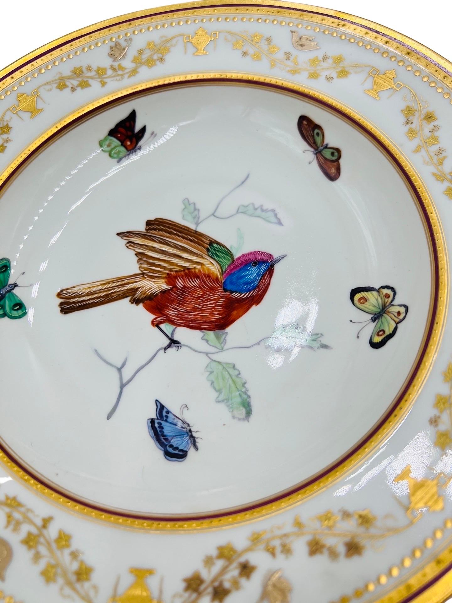 Set of 12, Antique Royal Vienna Neoclassical Ornithological Porcelain Plates   For Sale 1