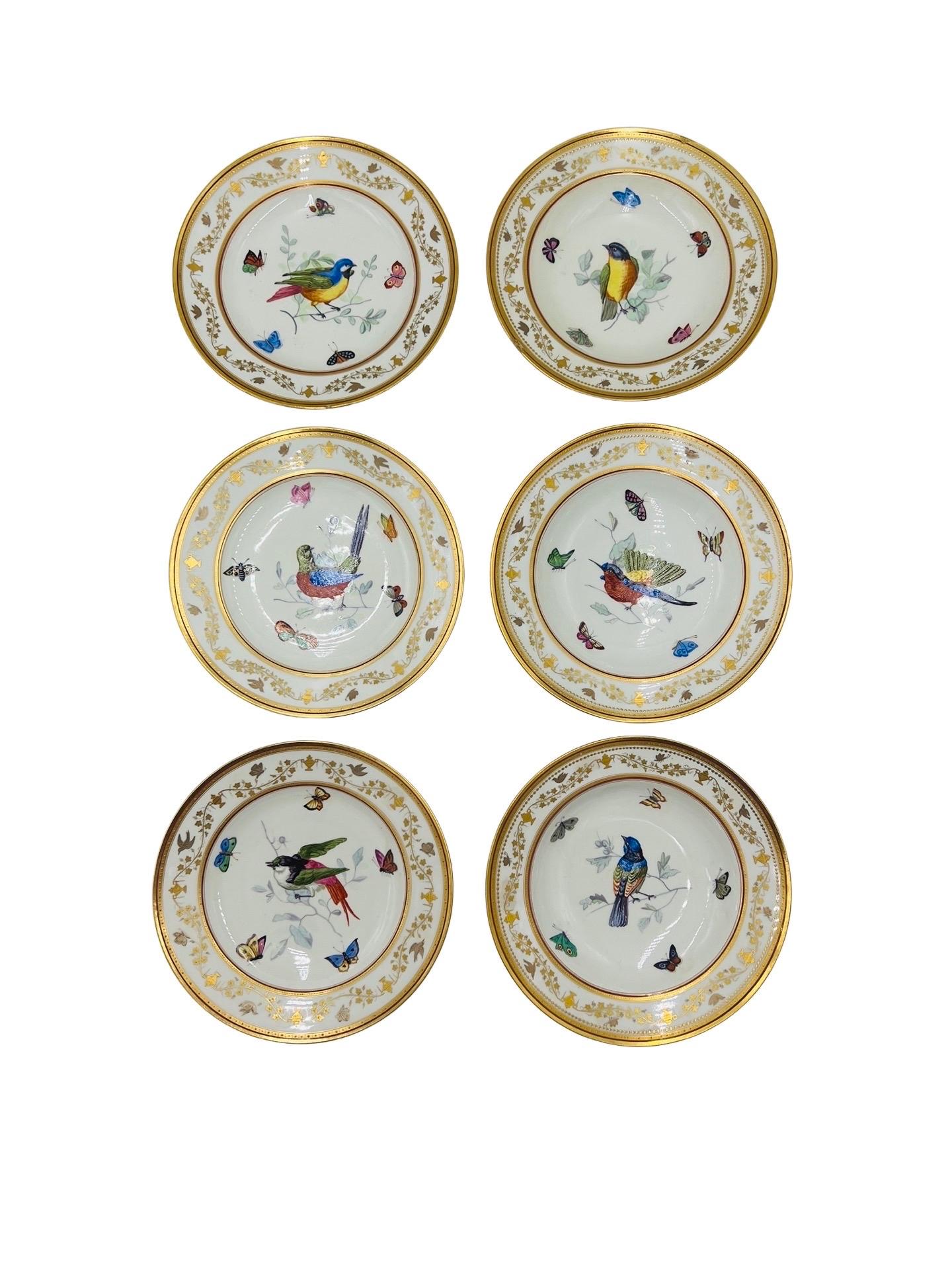 Set of 12, Antique Royal Vienna Neoclassical Ornithological Porcelain Plates   For Sale 2