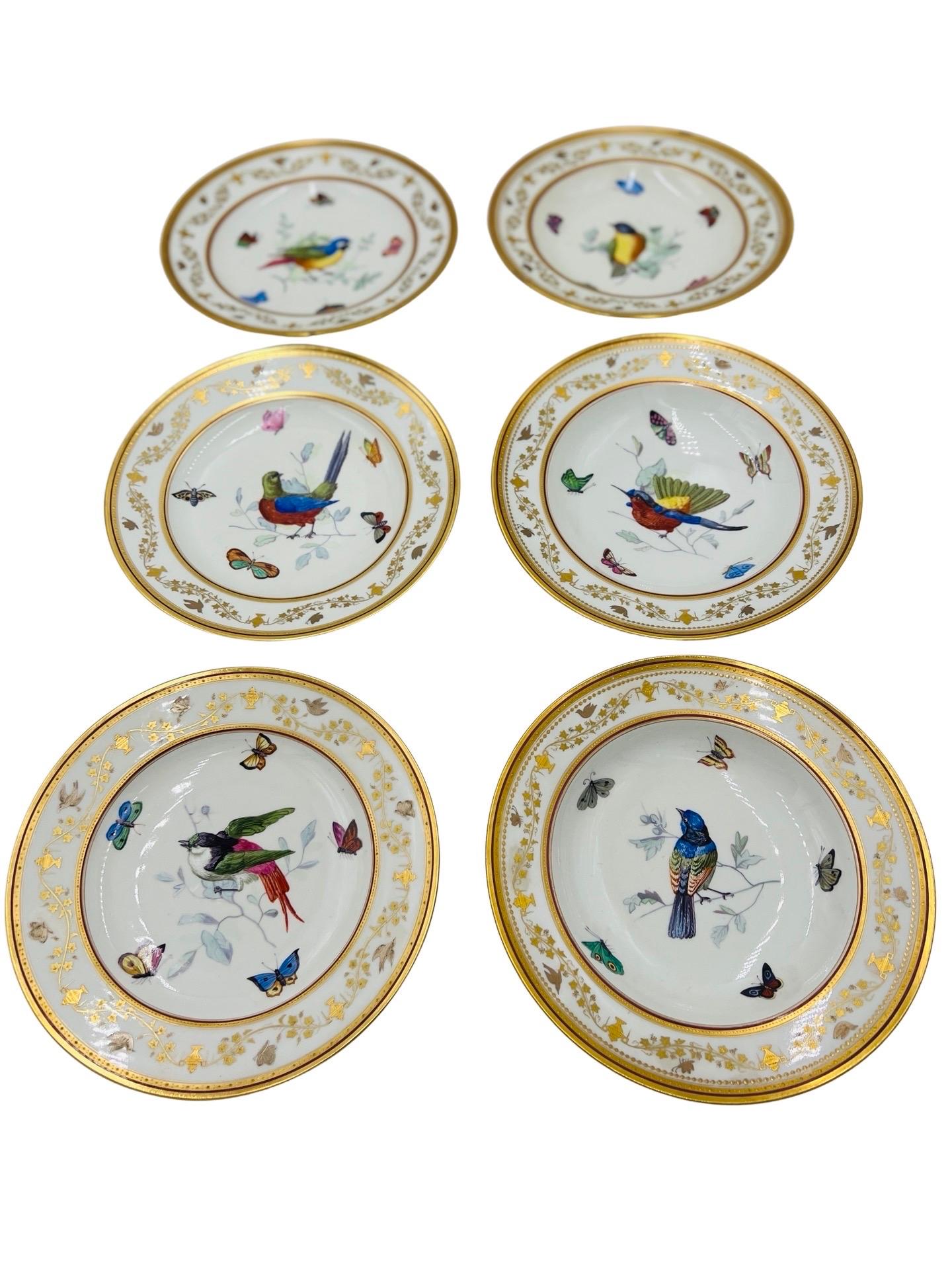 Set of 12, Antique Royal Vienna Neoclassical Ornithological Porcelain Plates   For Sale 3