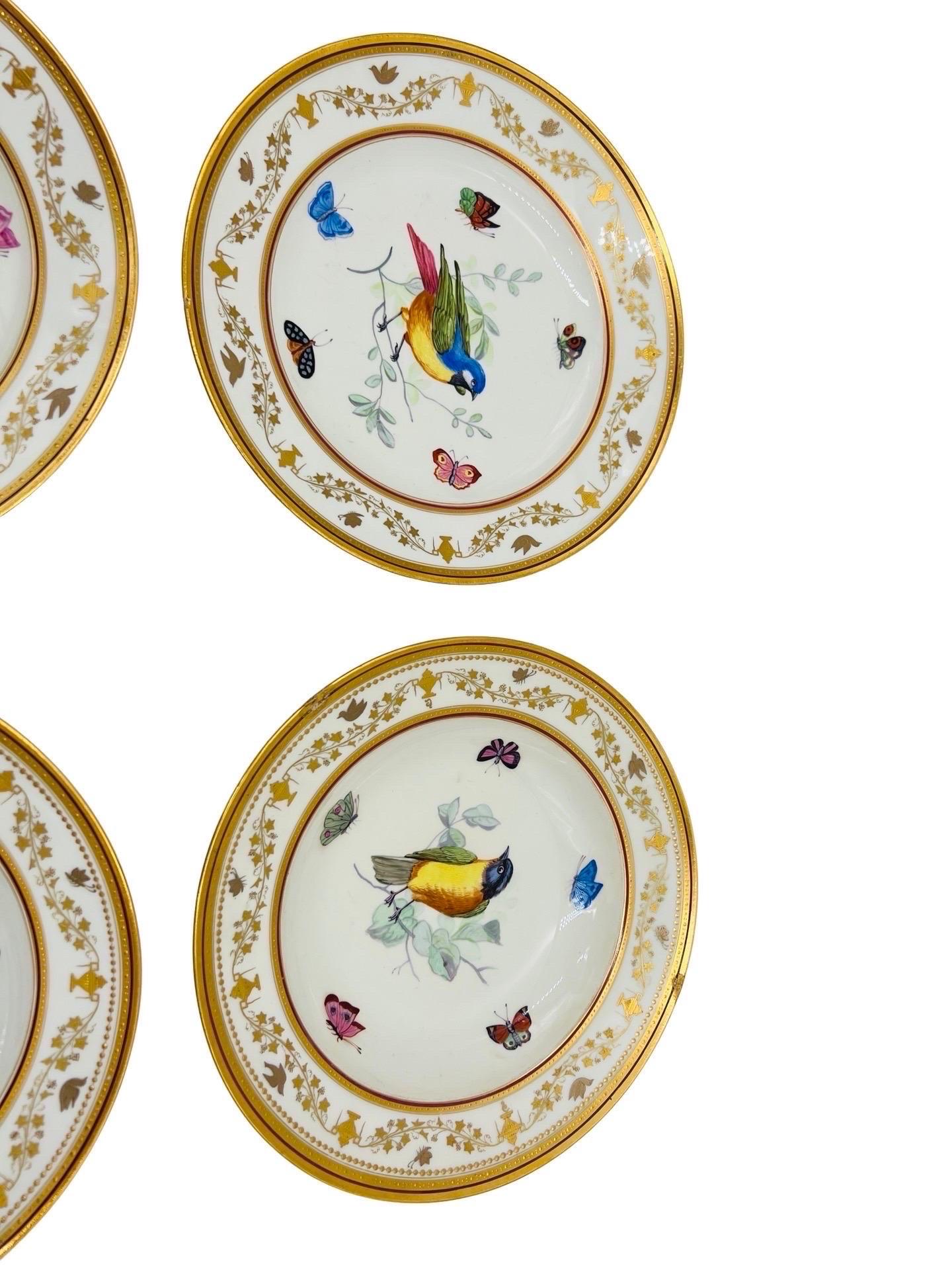 Set of 12, Antique Royal Vienna Neoclassical Ornithological Porcelain Plates   For Sale 4