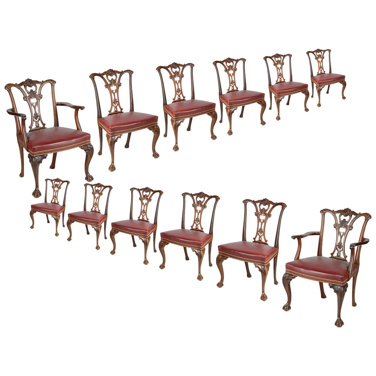 Set von 12 Mahagoni-Esszimmerstühlen im Chippendale-Stil