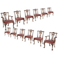 Set di 12 sedie da pranzo in mogano in stile Chippendale