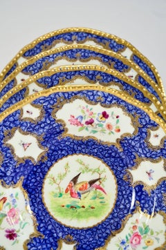 Set of 12 Coalport Hand Painted Exotic Bird Lapis Blue & Gilt Soup Bowls Plates
